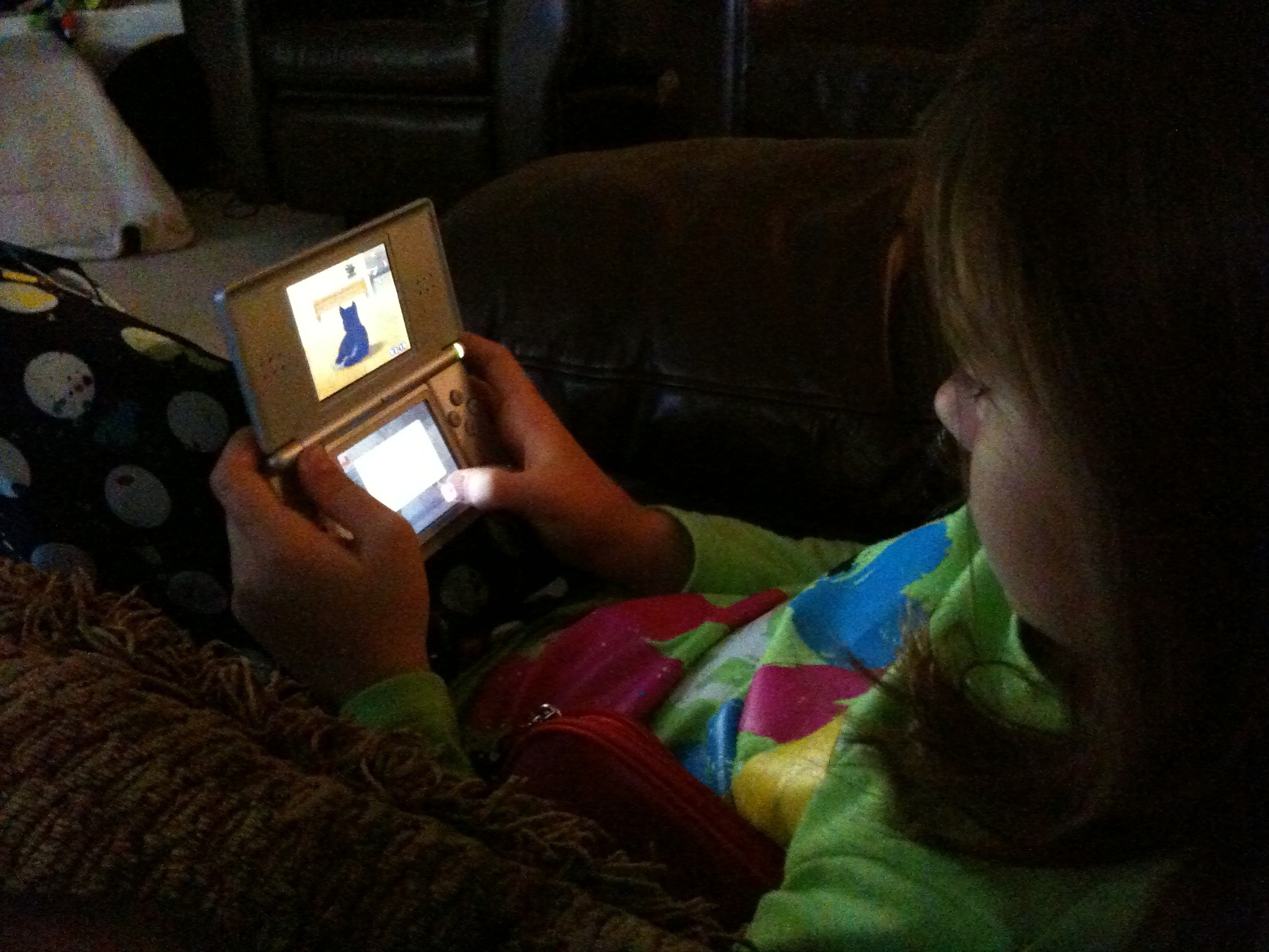 Amber plays with her virtual dogs