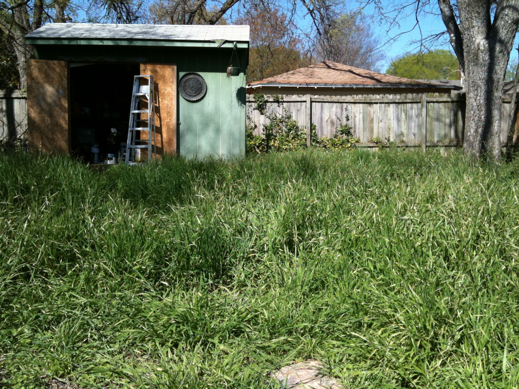 Jungle fighting, before