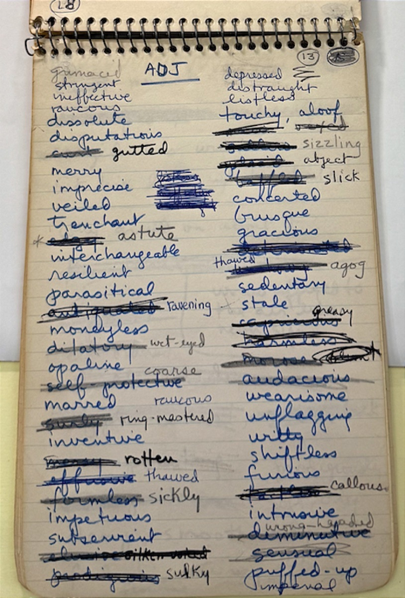A spiral notebook page filled with handwritten notes in blue and black ink, with several lines heavily crossed out. The visible entries appear to be a numbered list of ideas or themes.