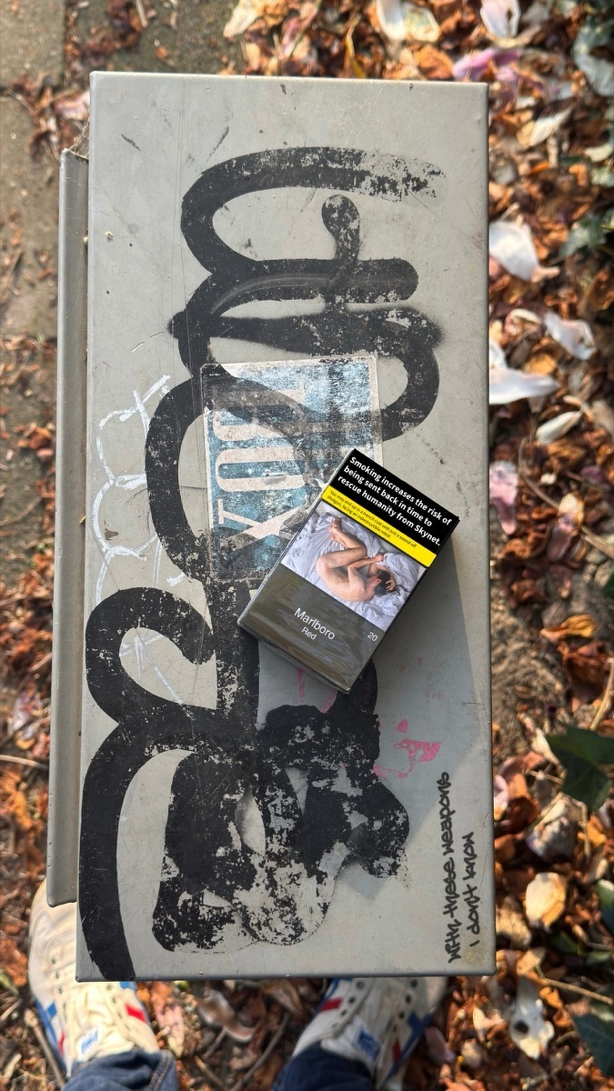 A Marlboro Red cigarette pack resting on a graffiti-tagged utility box among fallen autumn leaves, the pack's warning label reading 'Smoking increases the risk of being sent back in time to rescue humanity from Skynet.'