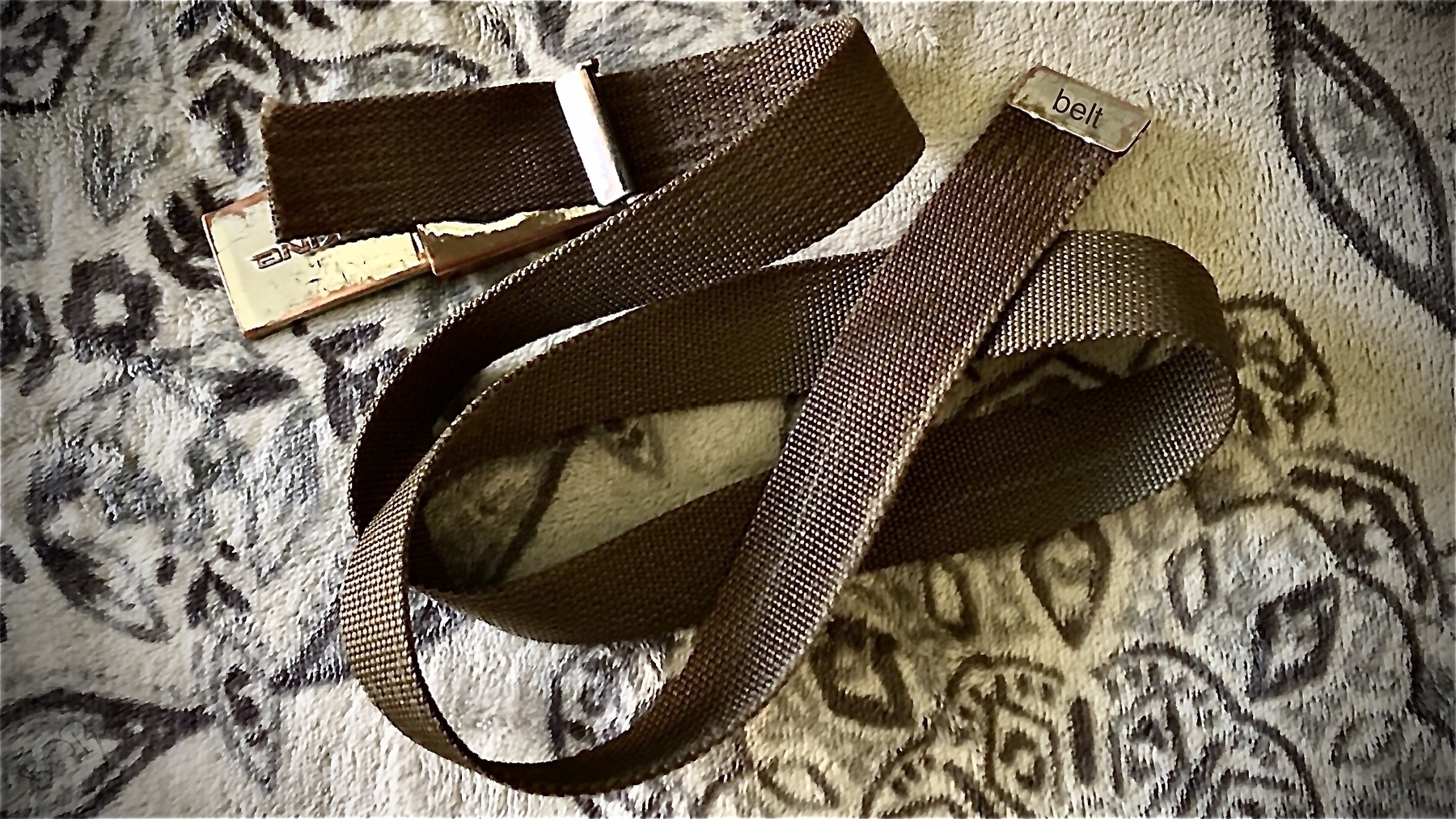 Old web belt with well worn *Dakine* slide buckle and tip