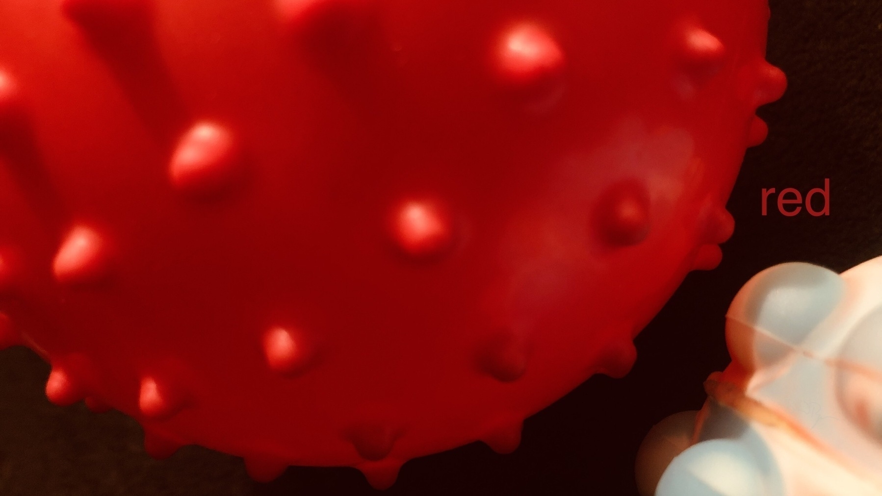 Close up of spiky red rubber ball