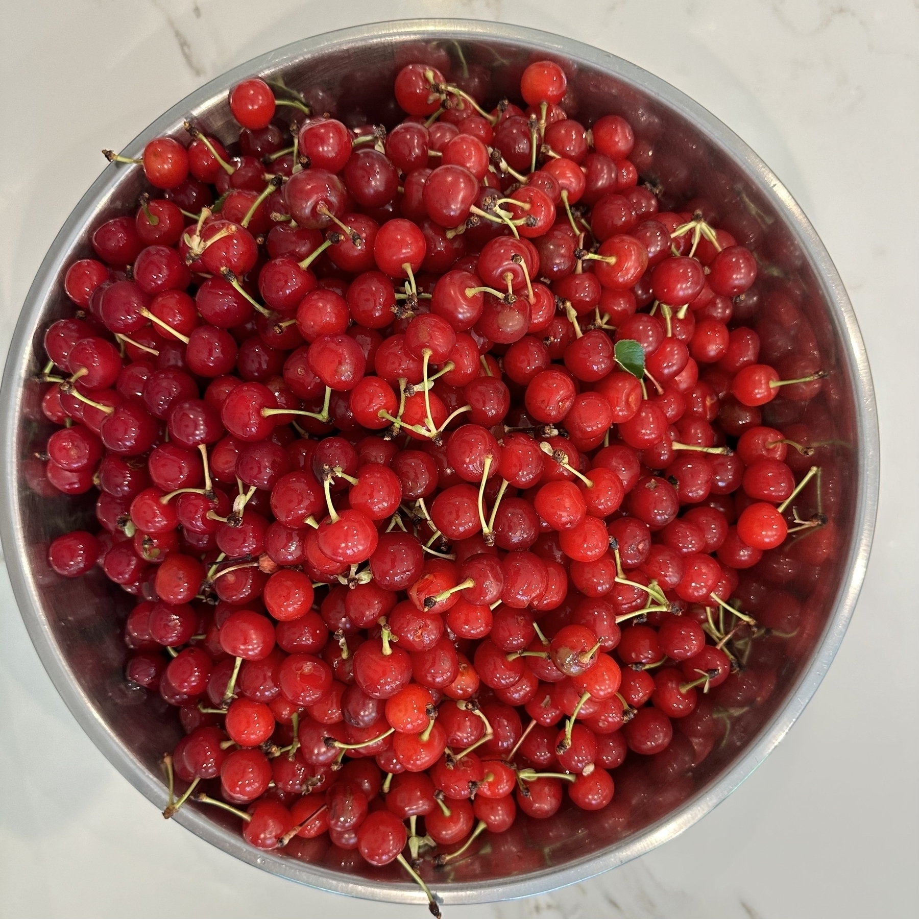 A bowl of Montmorency tart cherries. 