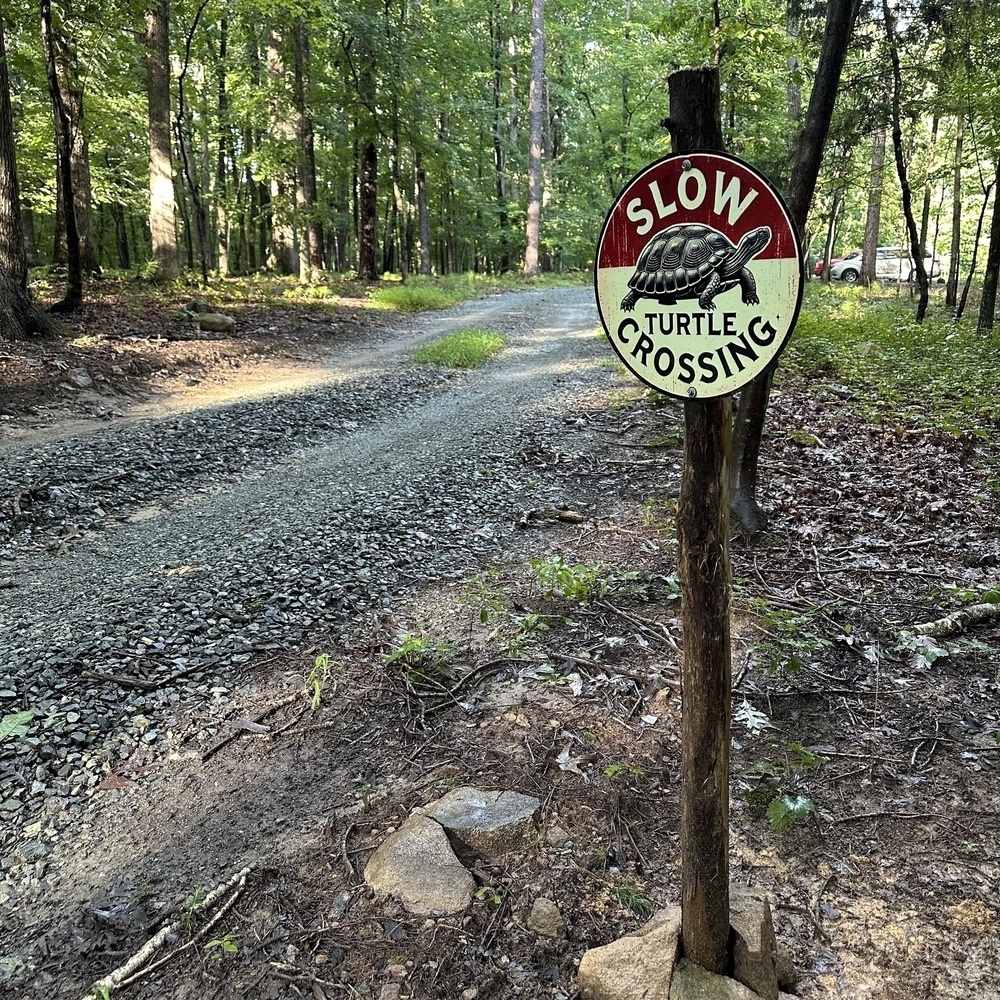 A wooded area features a dirt path and a sign reading Slow Turtle Crossing.