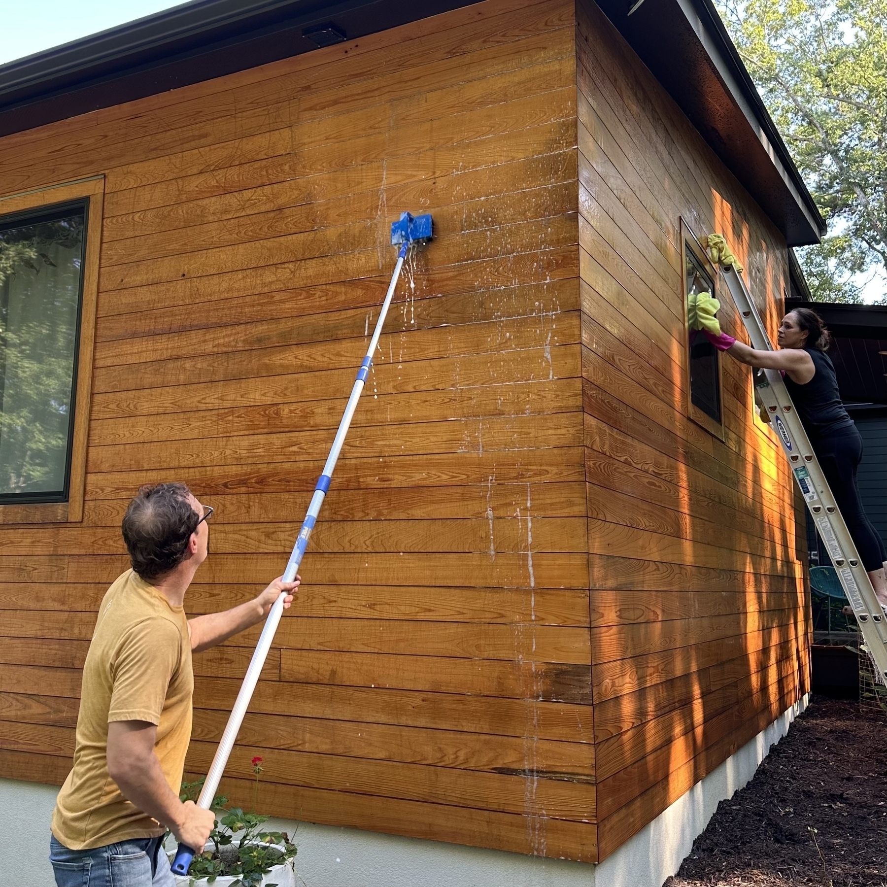 Two people are cleaning the exterior wooden wall of a house, with one using a long brush and the other on a ladder wiping a window.