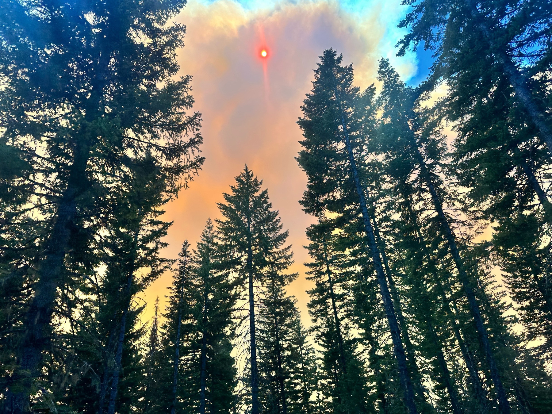 Start of the Austin fire