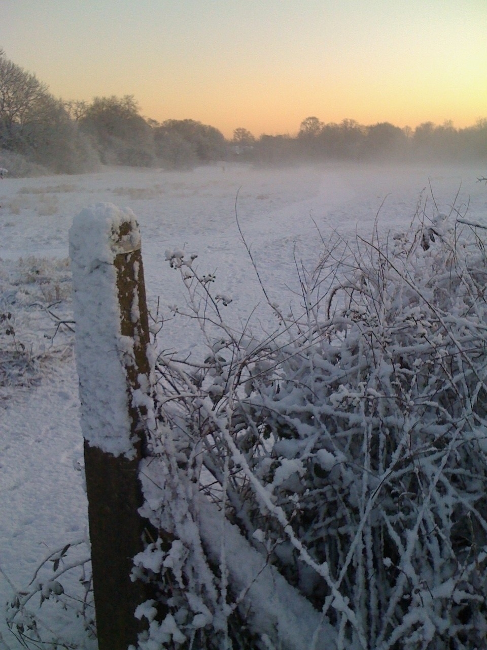 A frosty field with the pale orange glow of the sun just starting to set into the mist in the background. In the foreground is a hedge and fencepost, coated in snow and ice.