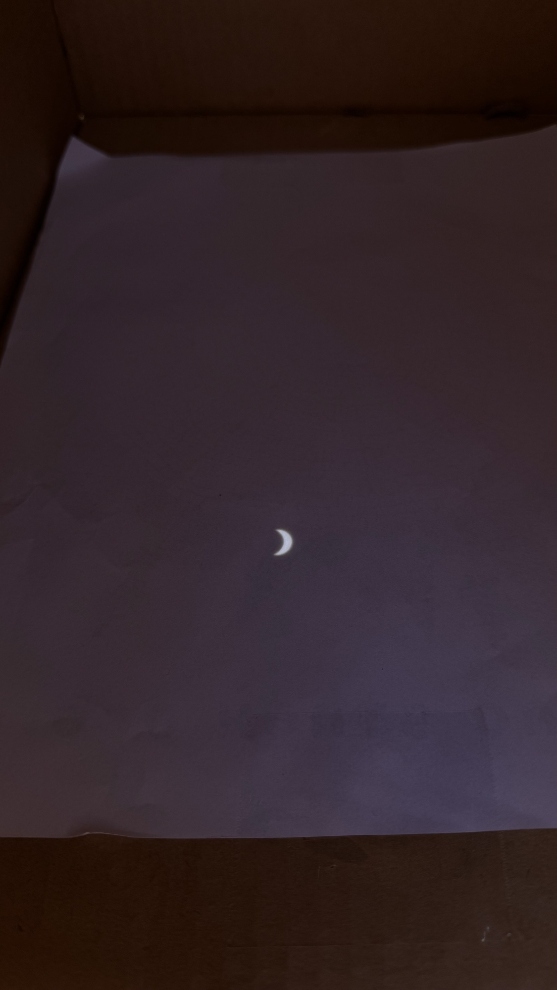 projection of the eclipse from my pinhole projector.