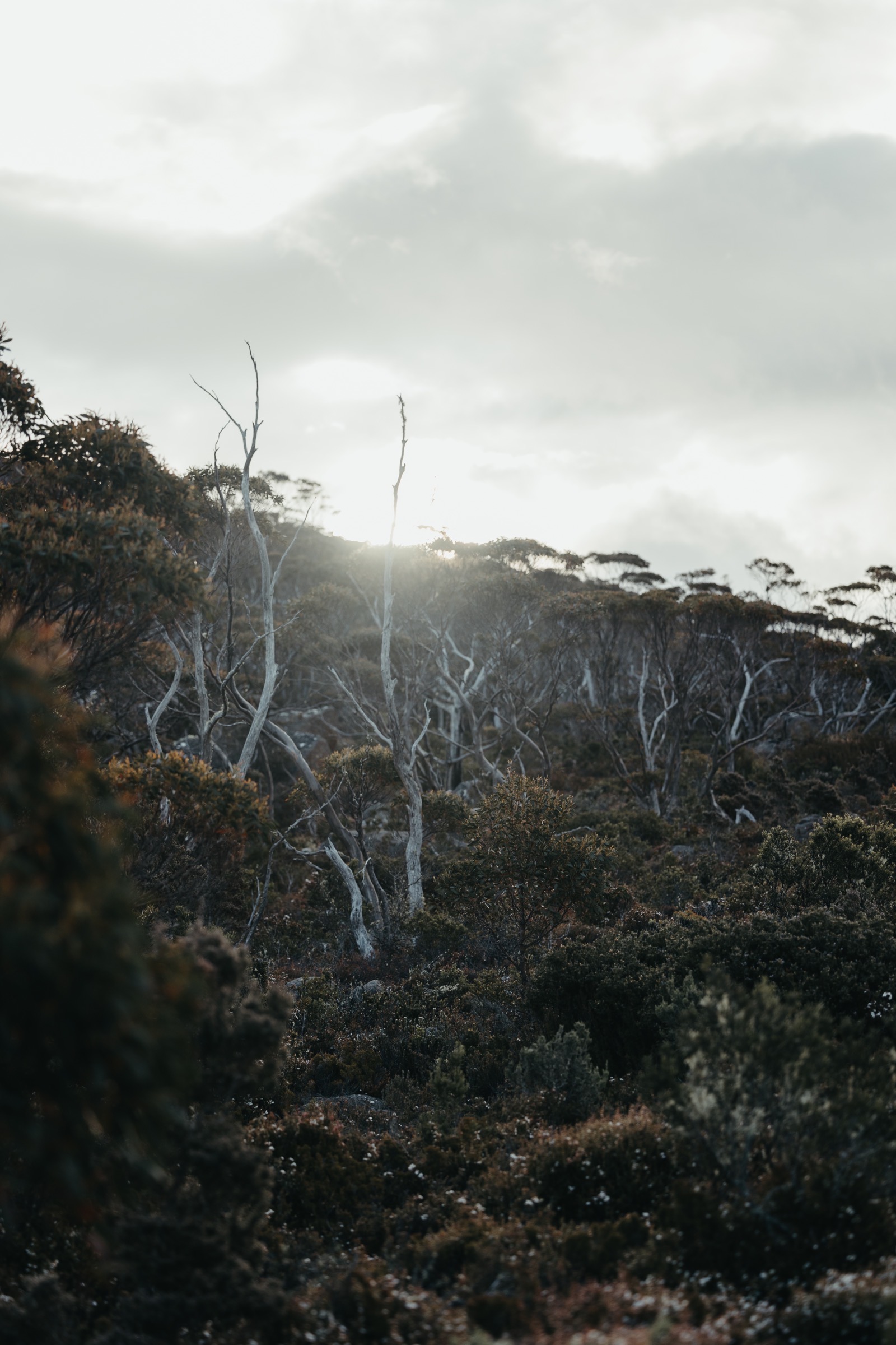 kunyani, Mount Wellington, sunset