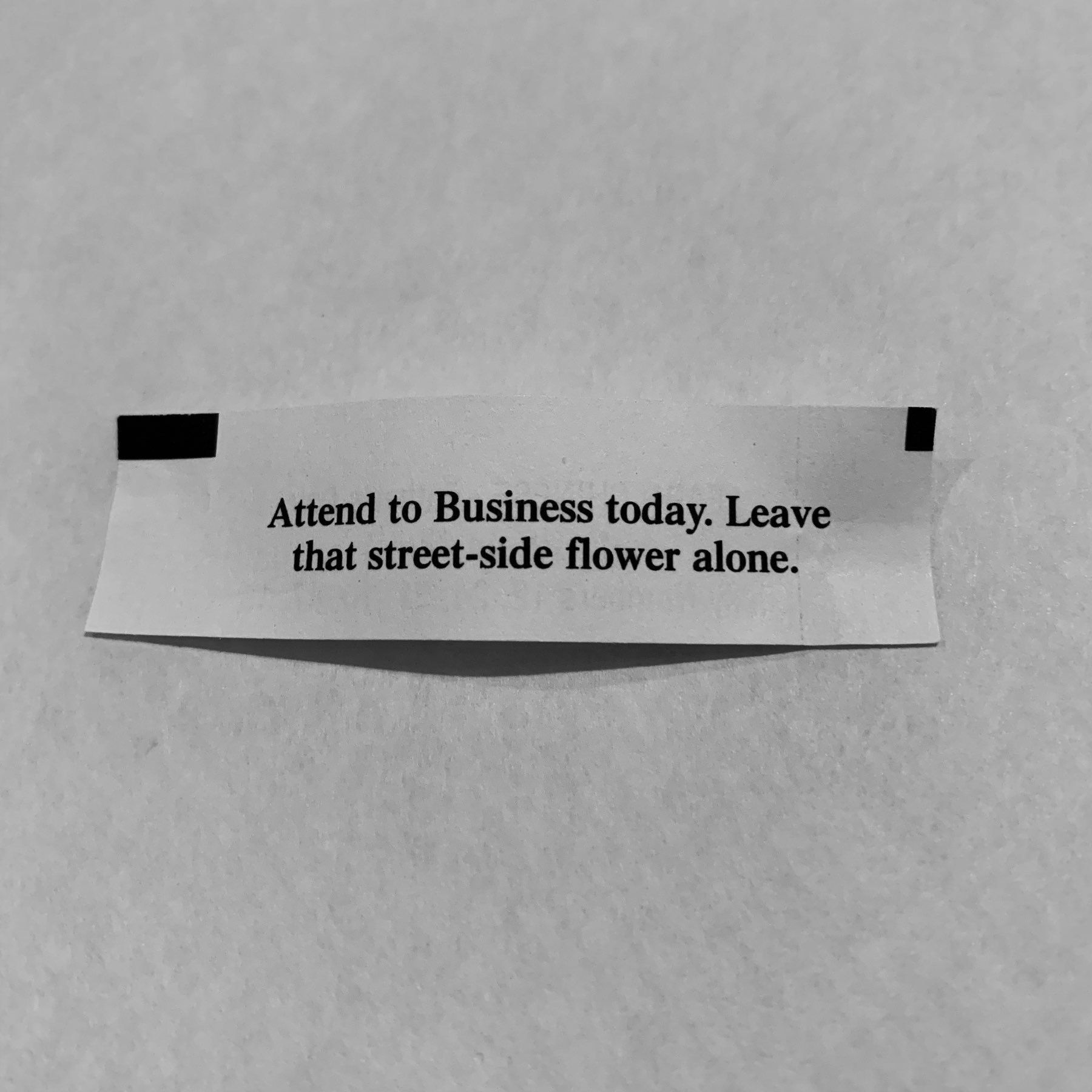 Fortune reading 'Attend to Business today. leave that street-side flower alone.'