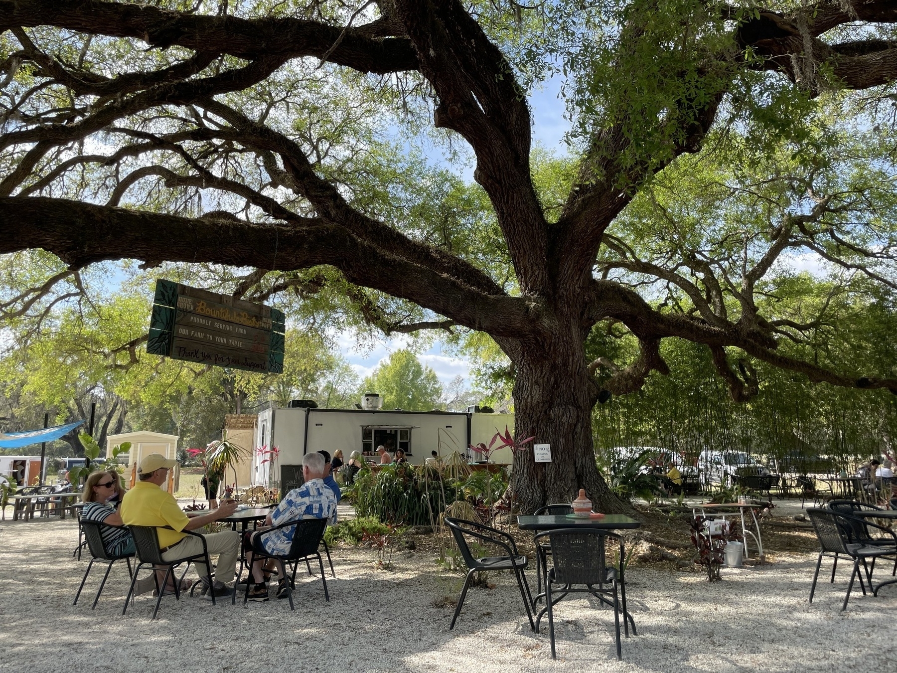 Outdoor cafe tables under an old, giant oak tree, with the kitchen trailer visible in the background.