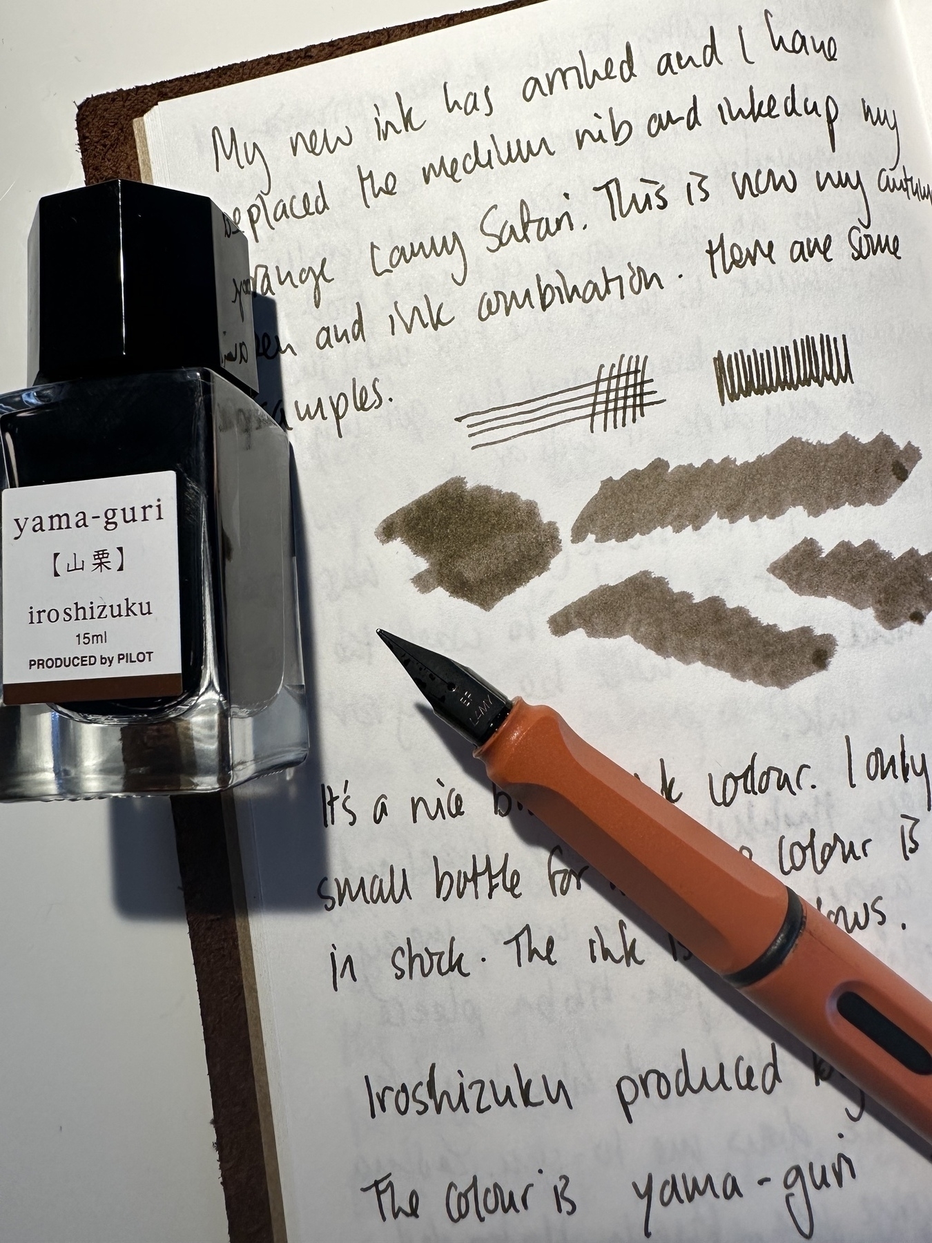 Photo of a notebook page with a small bottle of ink and a fountain pen on the top.