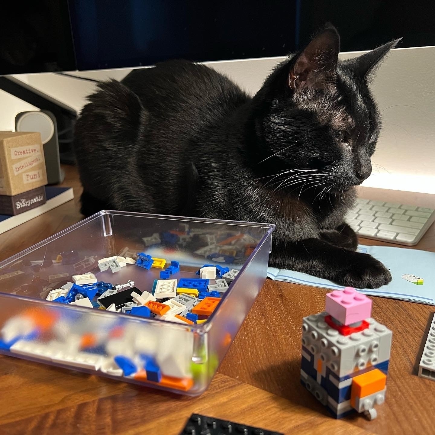 a black cat sits in the basground, behind a clear tray of loos LEGO and a partialky-built Brick Headz figure.