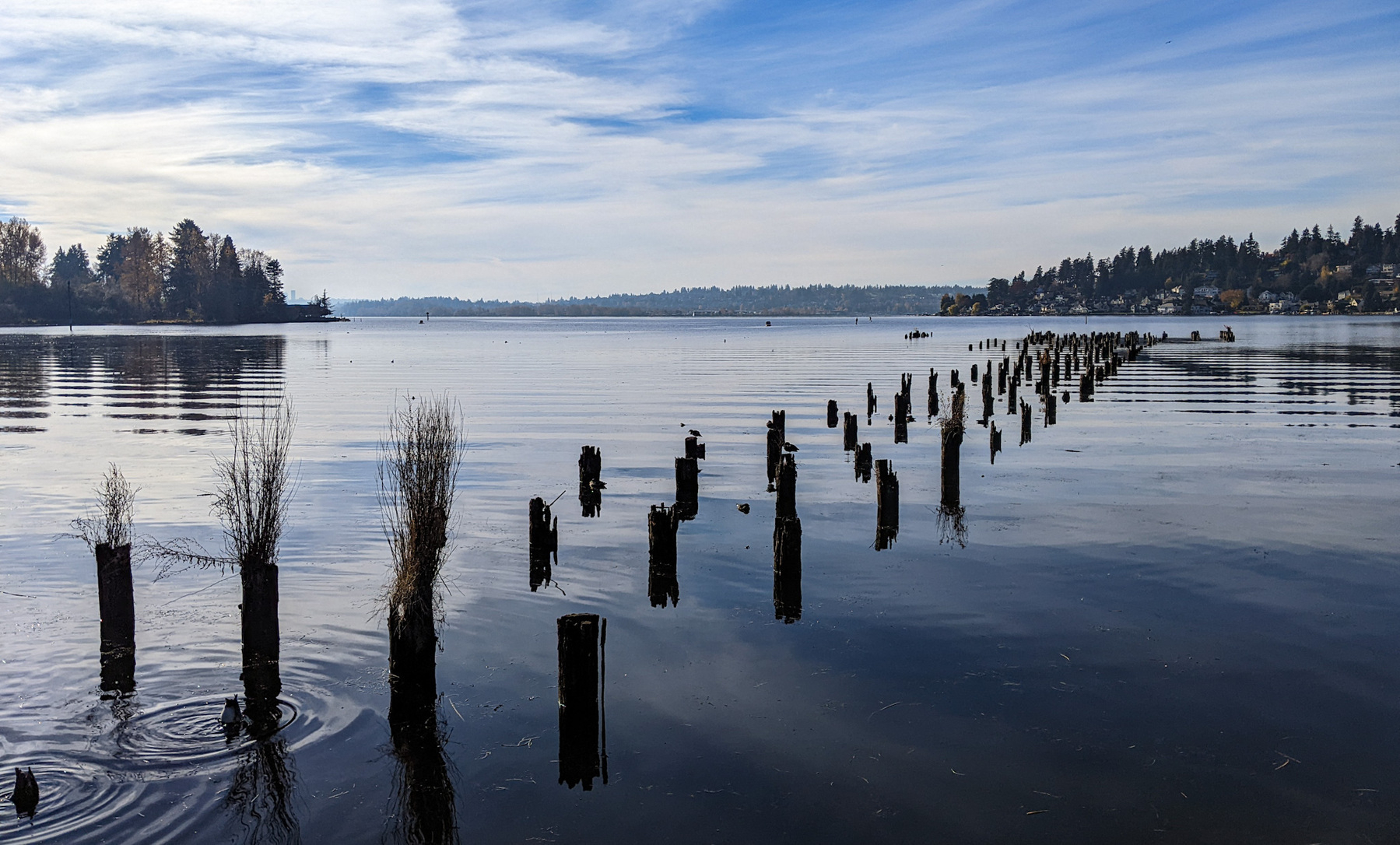 pilings cross a smooth late surface reflecting a blue sky slashed with clouds