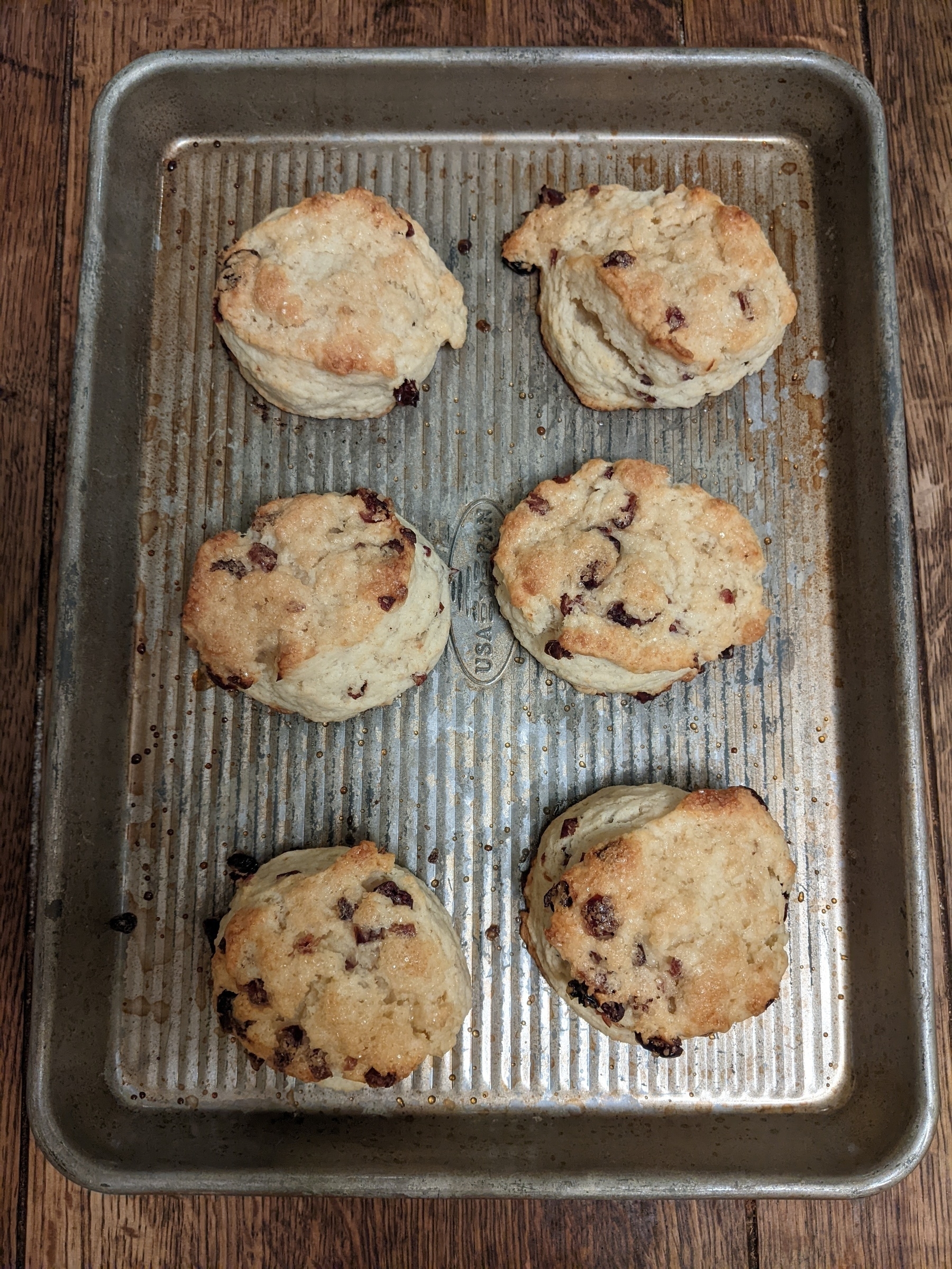 six round cranberry scones on a baking sheet 