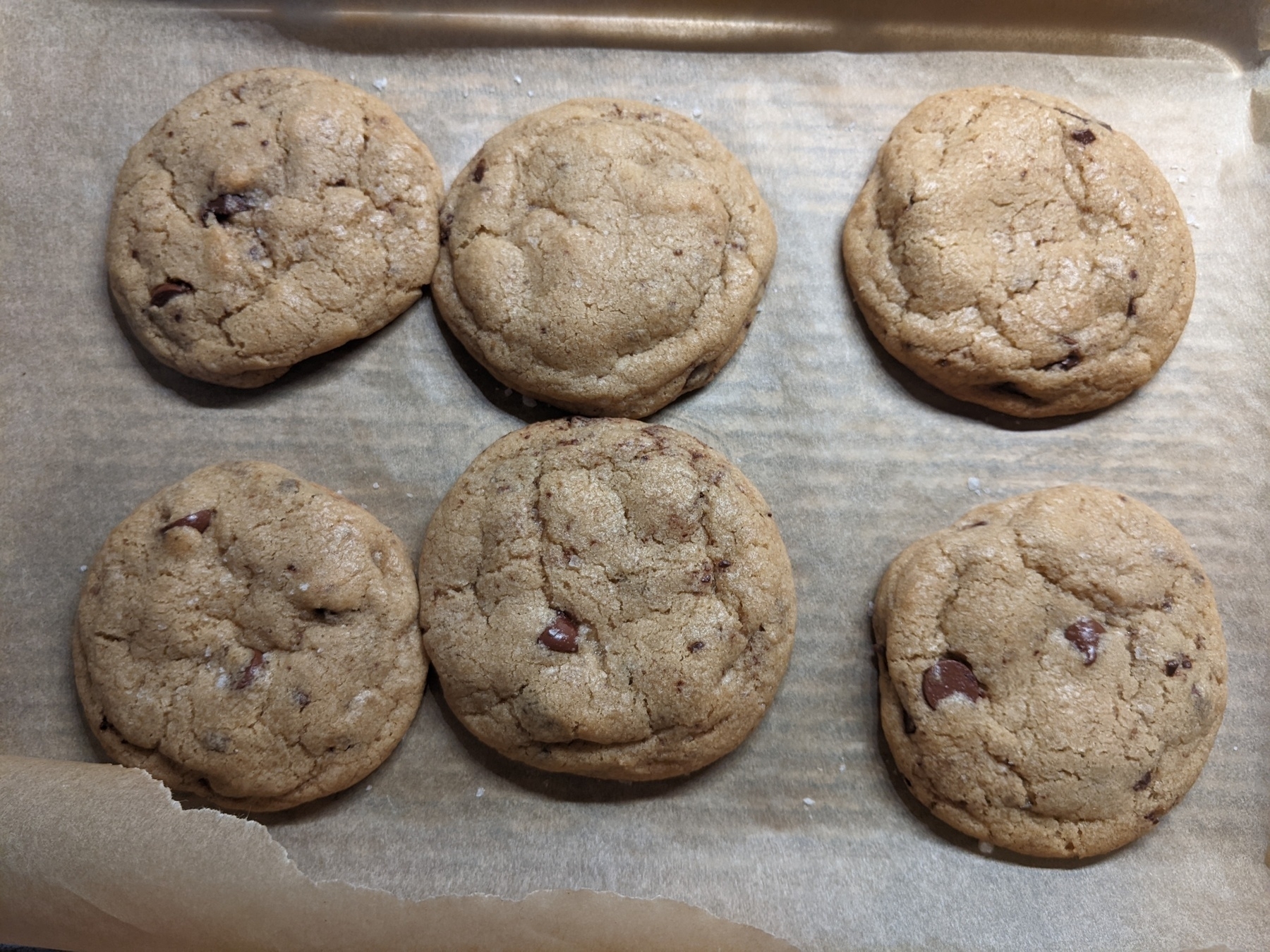 Six fresh baked chocolate chip cookies on parchment 