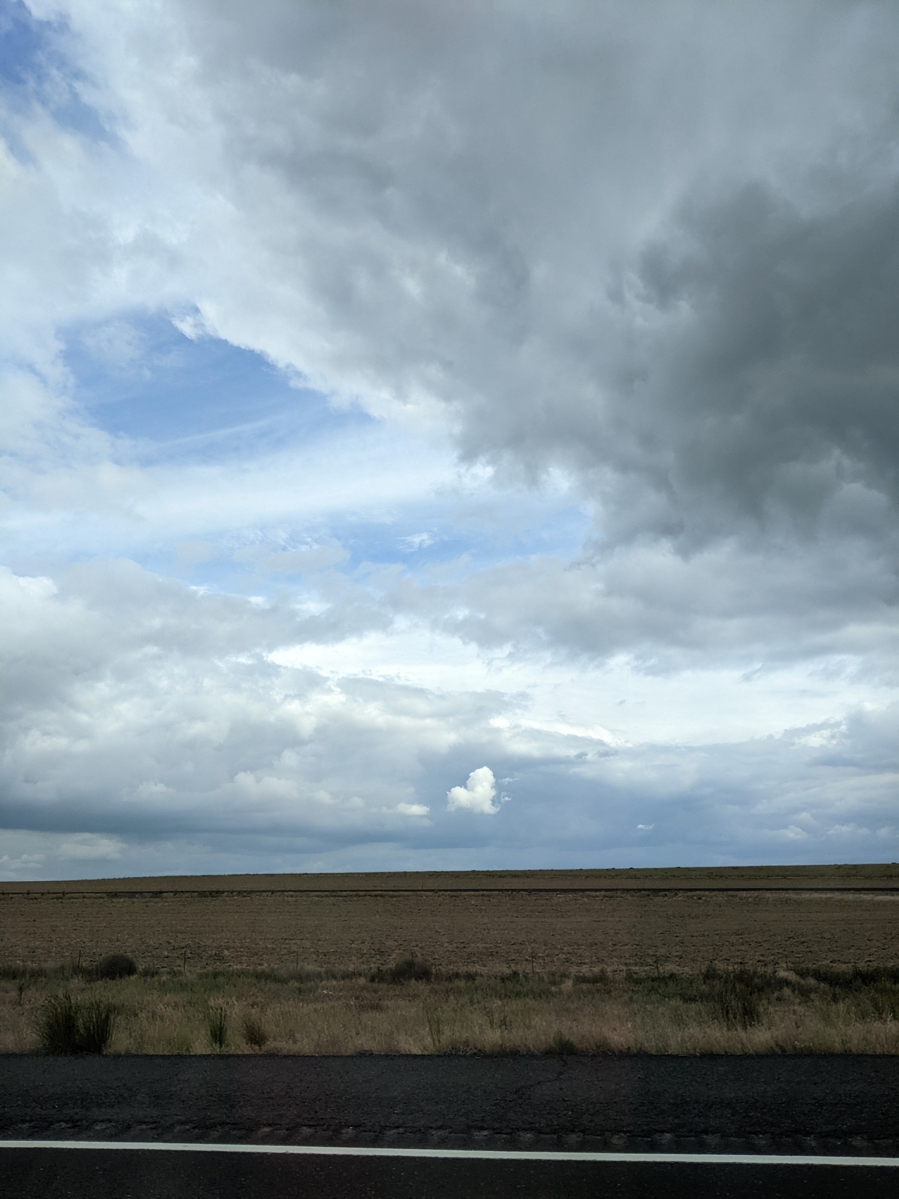 big sky of gray clouds above flat fields, a single small white cloud floating in front just over the horizon 