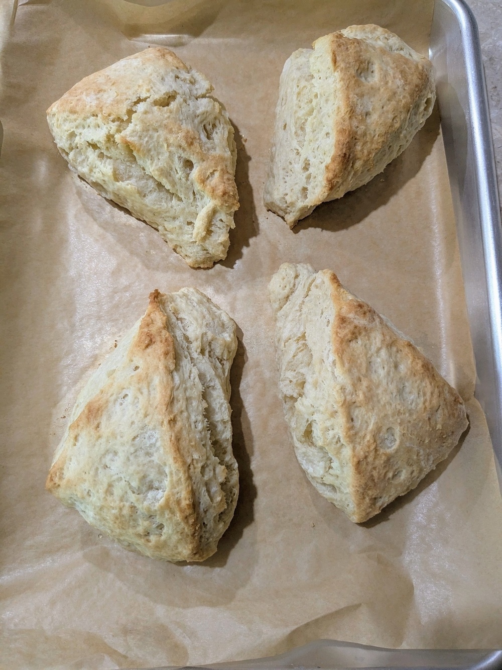 four scones fresh out of the oven on a parchment lined baking sheet 