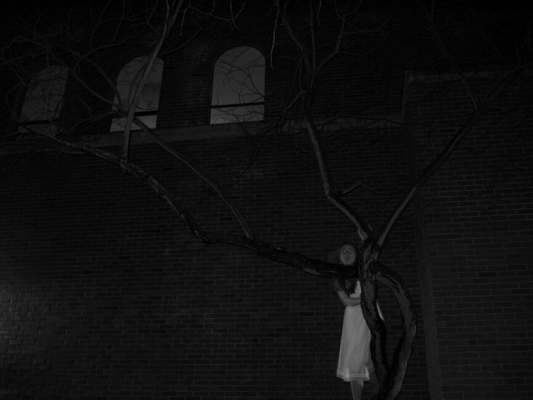 black and white artsy photo of  woman in white perched in a limby tree in front of a brick building with arched windows
