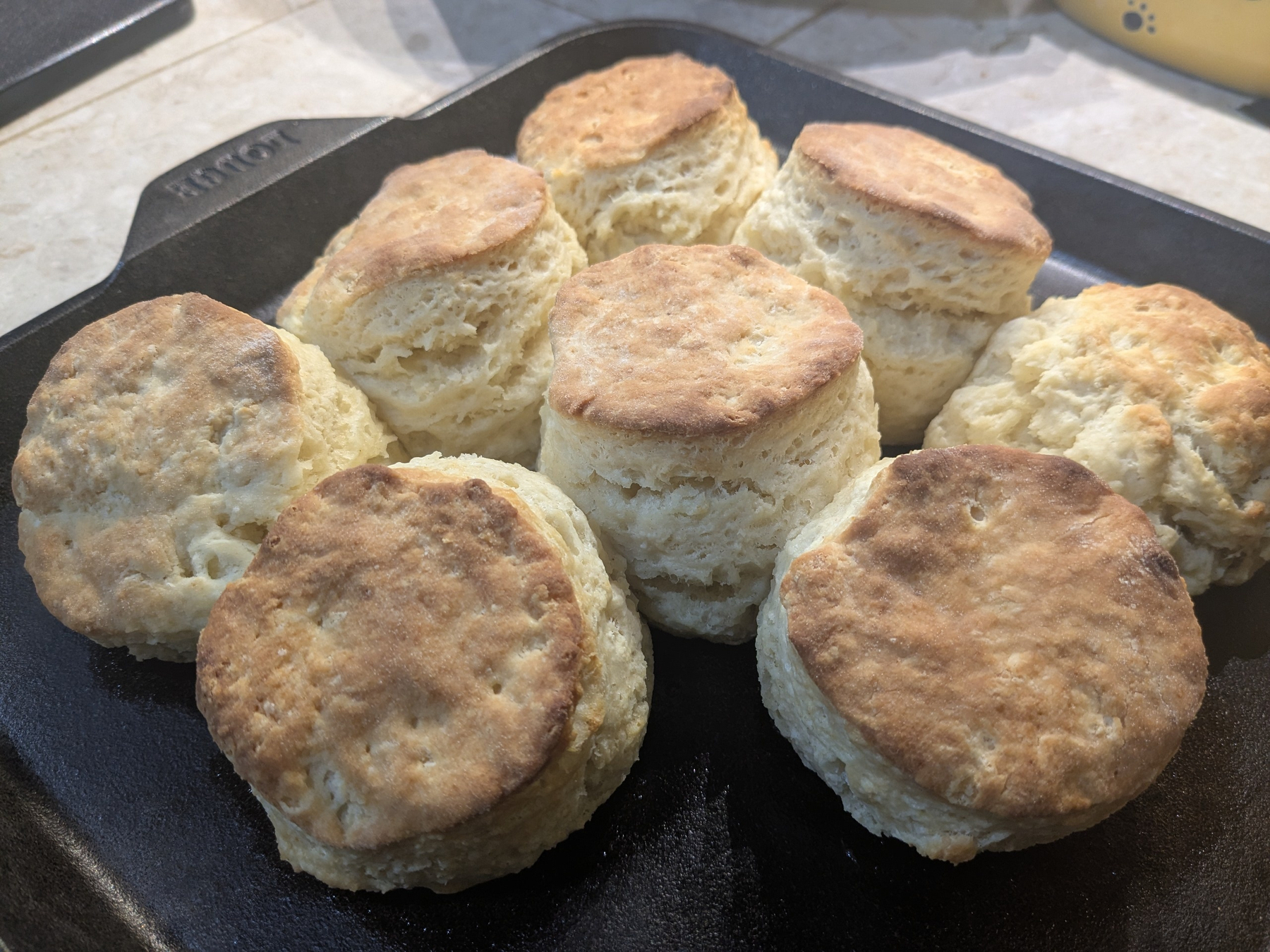 cast iron griddle with 7.5 biscuits with a good rise and deep browning on top