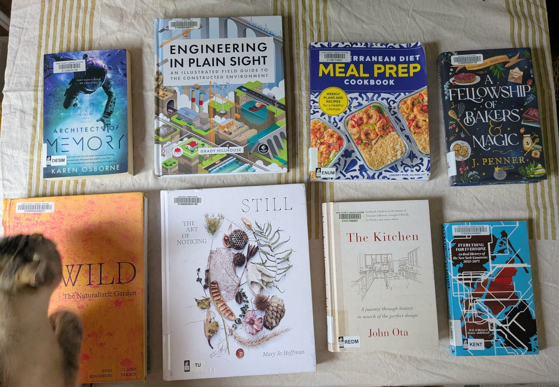 flatlay of 3 coffee table books, 3 fiction books, a cookbook and a nonfiction book from the library