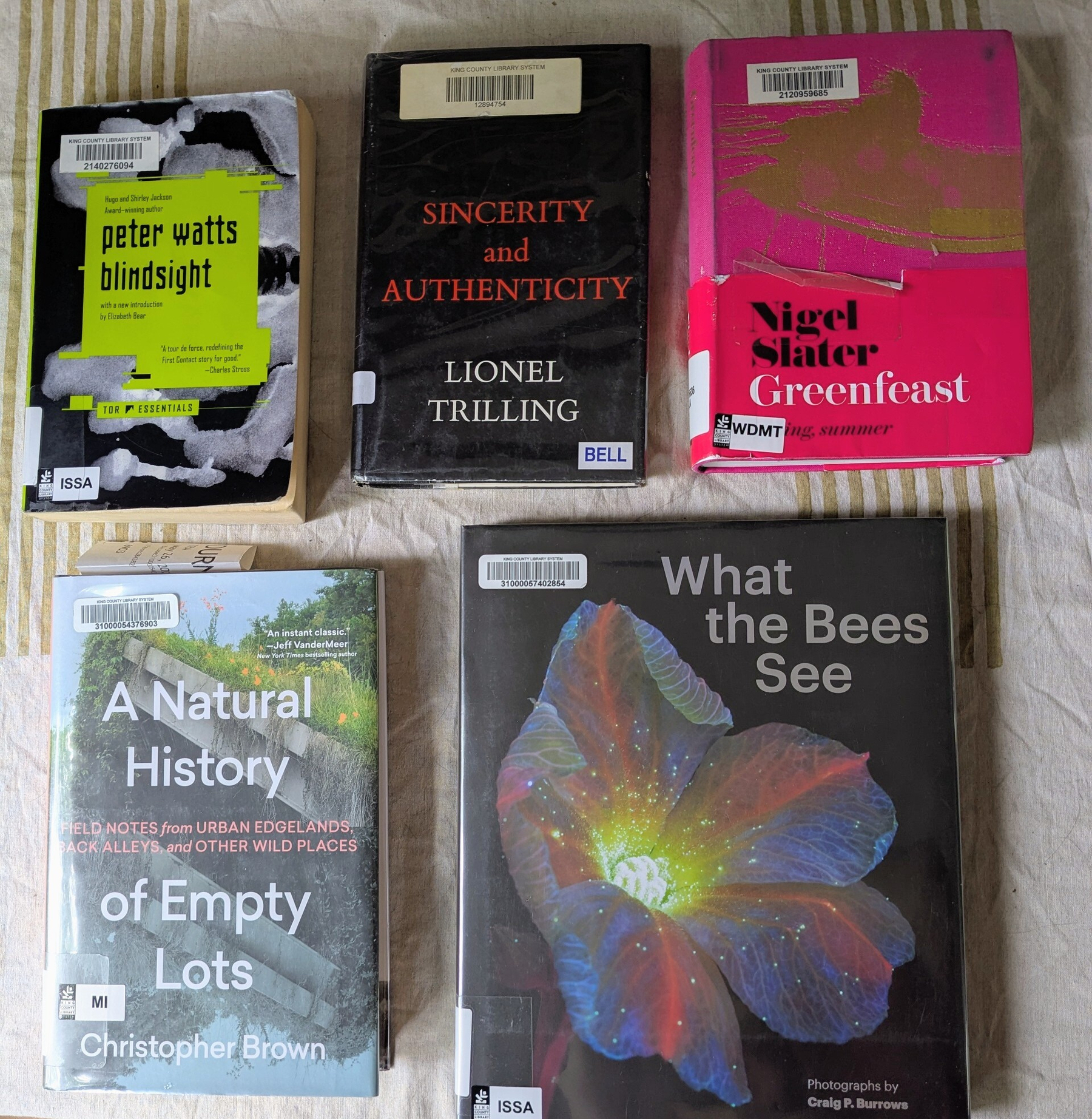 flatlay of one novel, one slim philosophy treatise, one surprisingly small hot pink cookbook, a nonfiction and an oversized photography book with a glowing flower on front