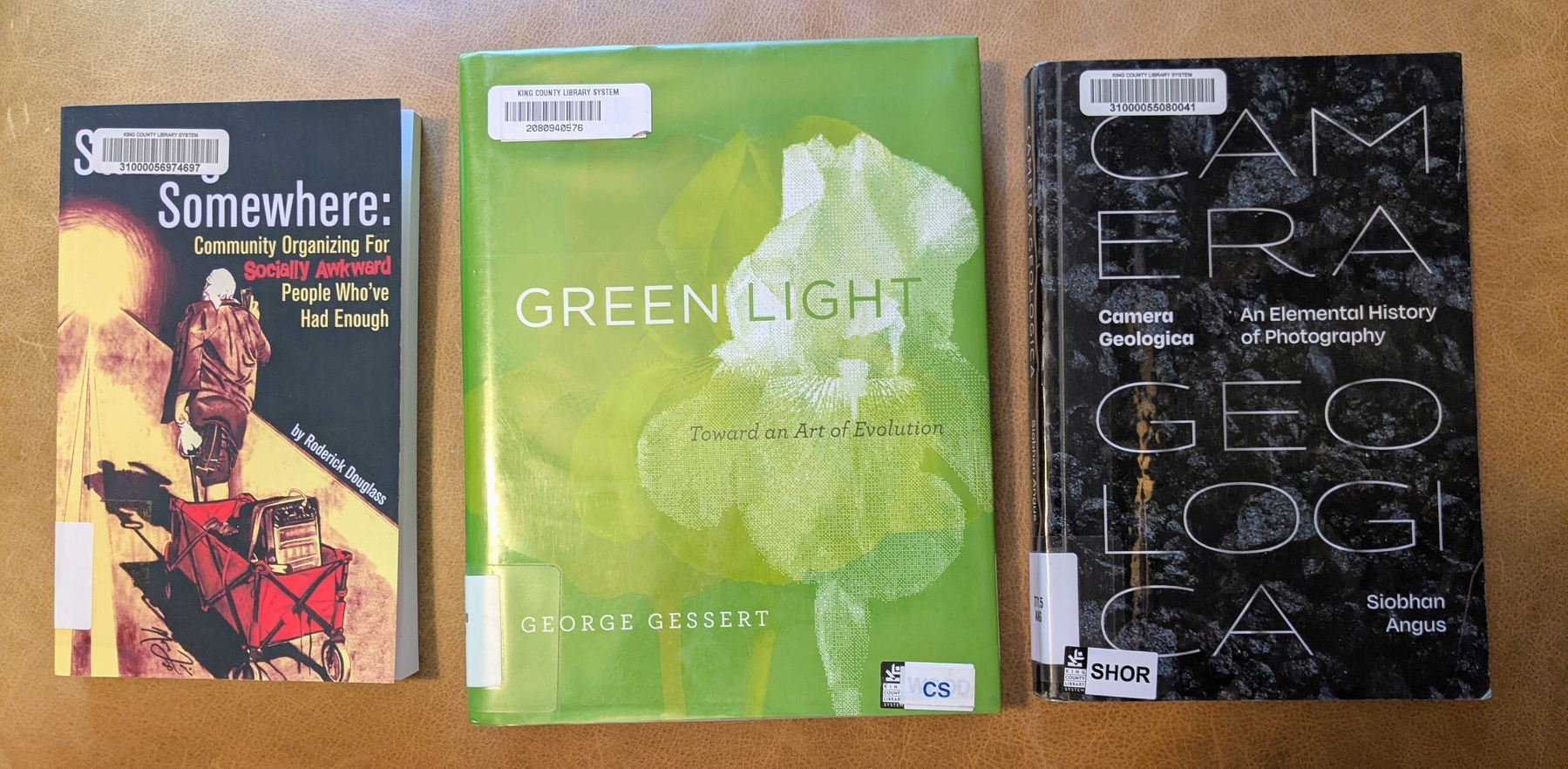 flatlay of three nonfiction library books