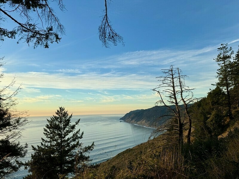 At sunset, a view of the pacific ocean coast with some pine trees framing the image. 