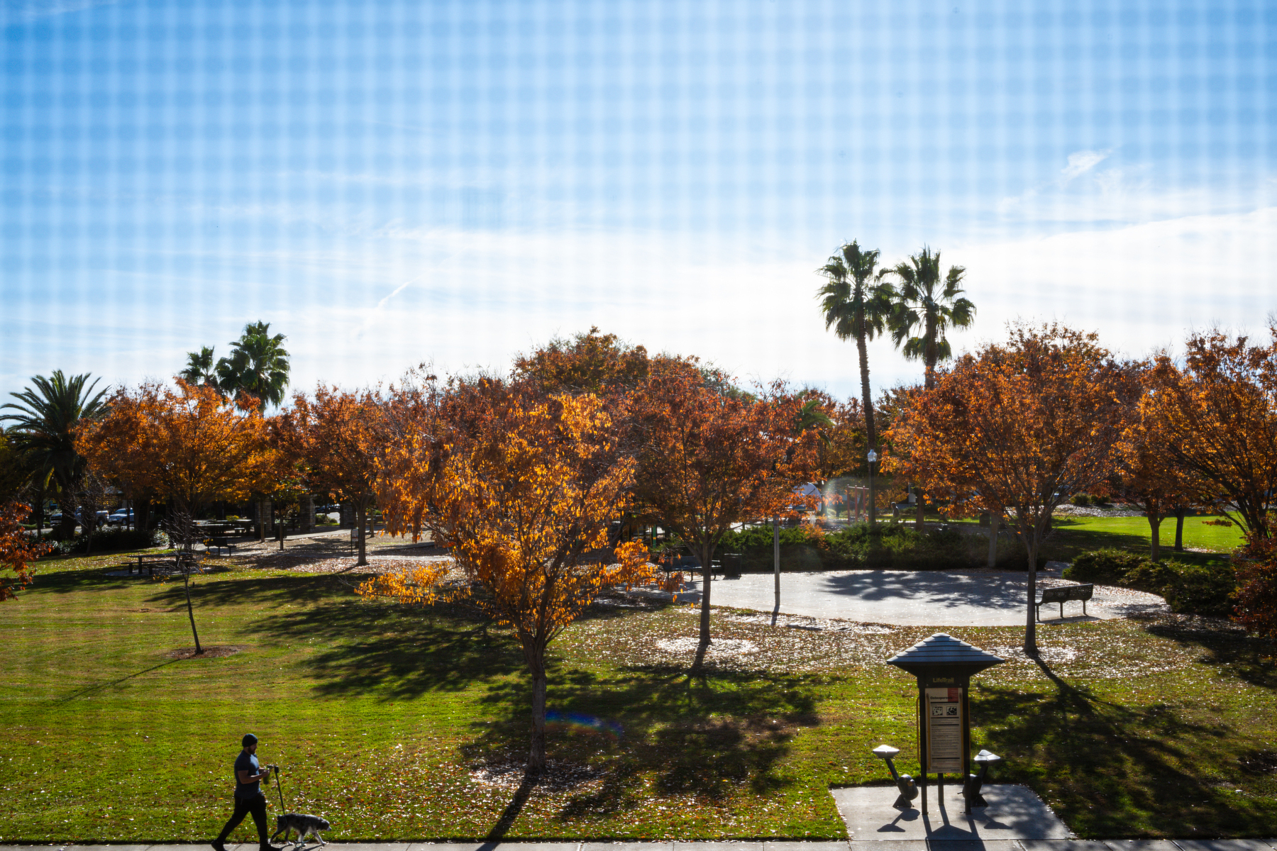 through a window screen, a view of a park and a man walking his dog. 