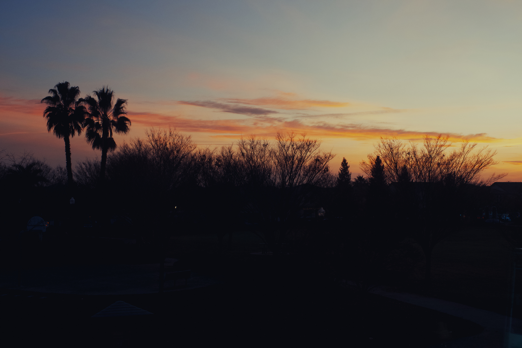 a sunset with the silouette of two palm trees on the left side of the frame.