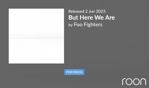 foo fighters but here we are