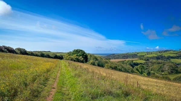 A photo of a path through a filed in South Devon