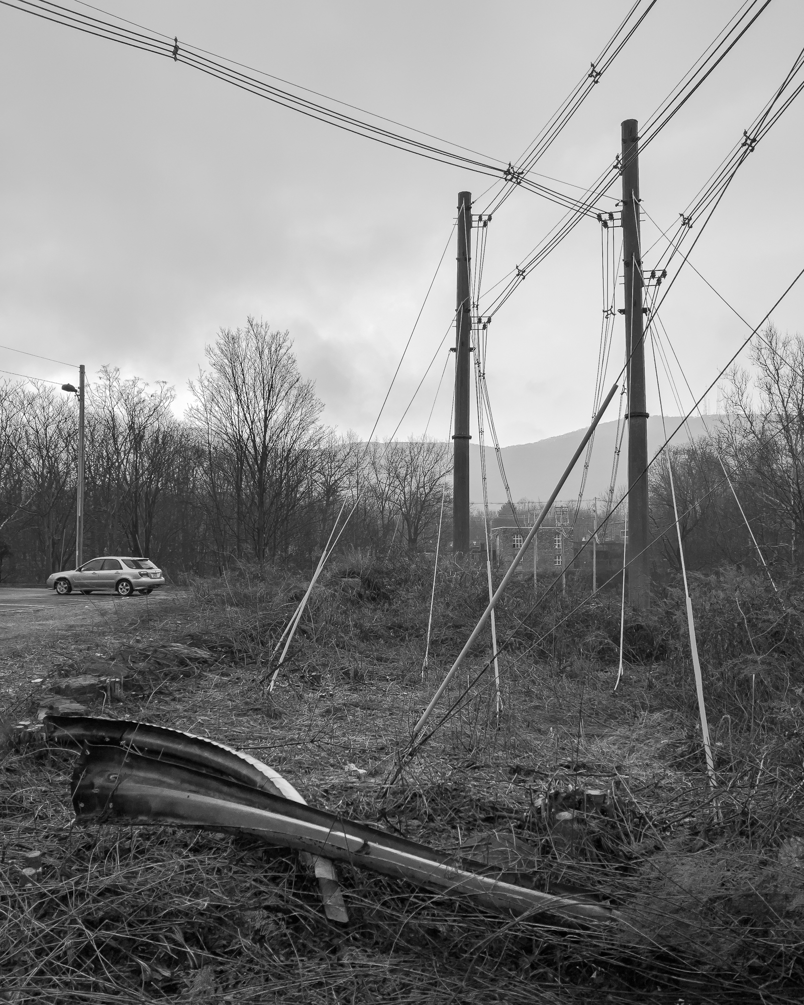 landscape with utility poles