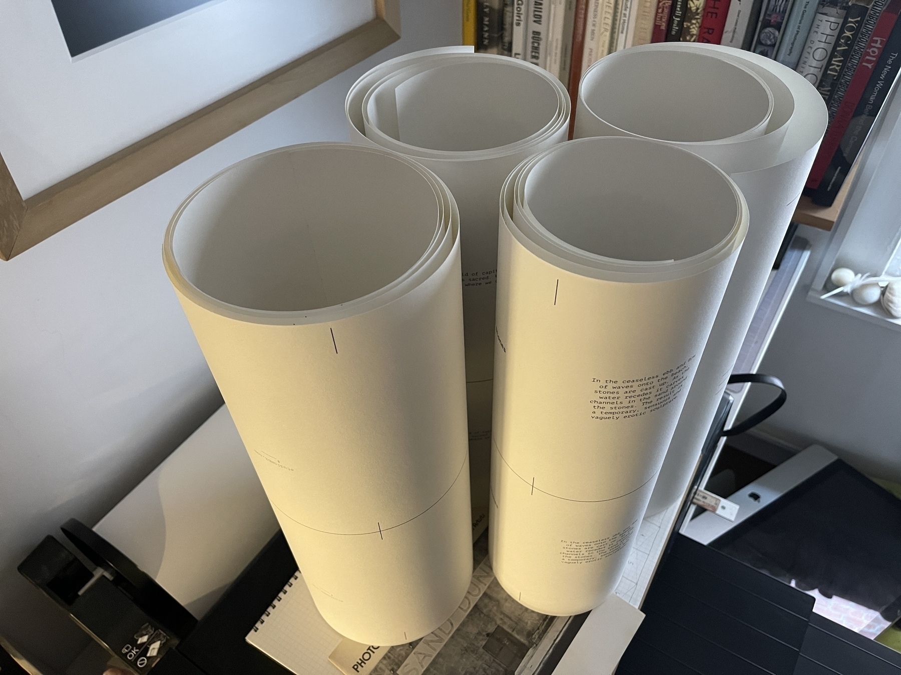 4 rolls of photo paper with books printed on them. To become accordion fold books.
