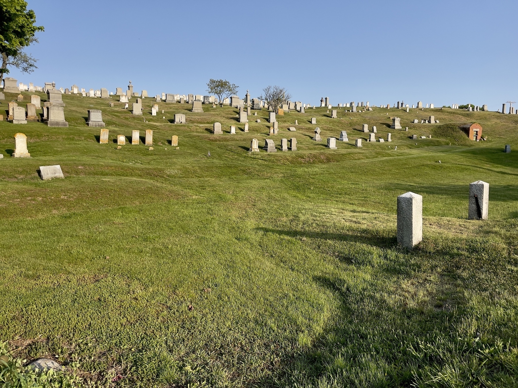 Tombstones on a hill in early morning sun. 
