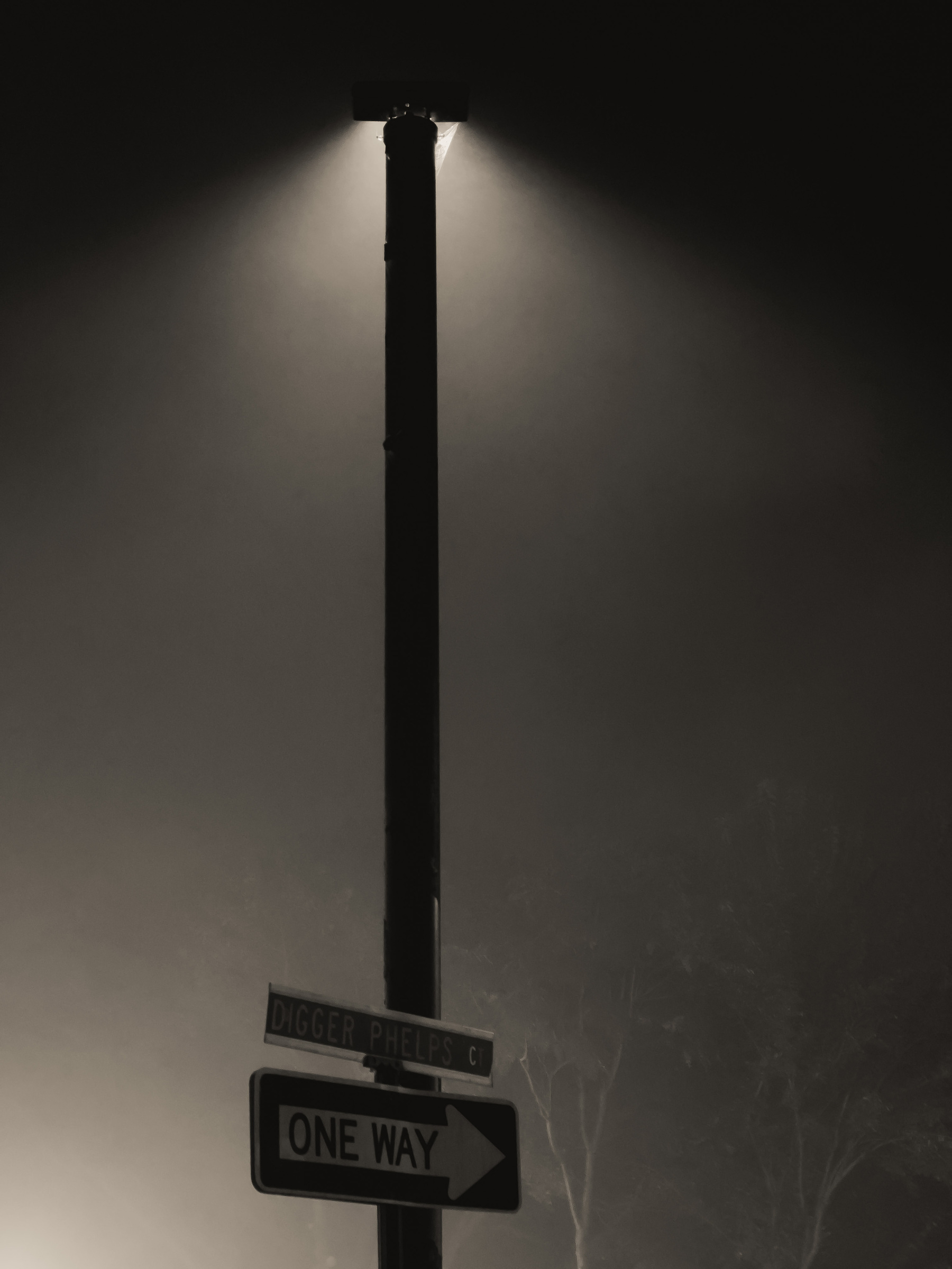 Street light and utility pole with directional signage on a foggy morning.