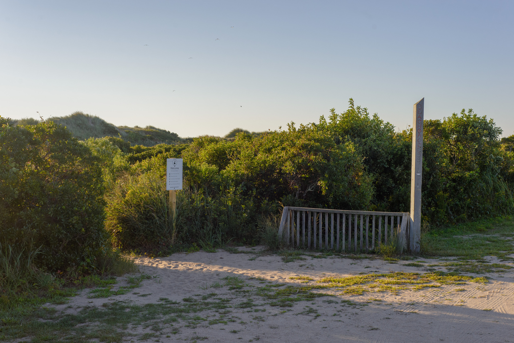Landscape with wooden bike rack, marker post and sign in front of a trail access across the dunes to the beach.