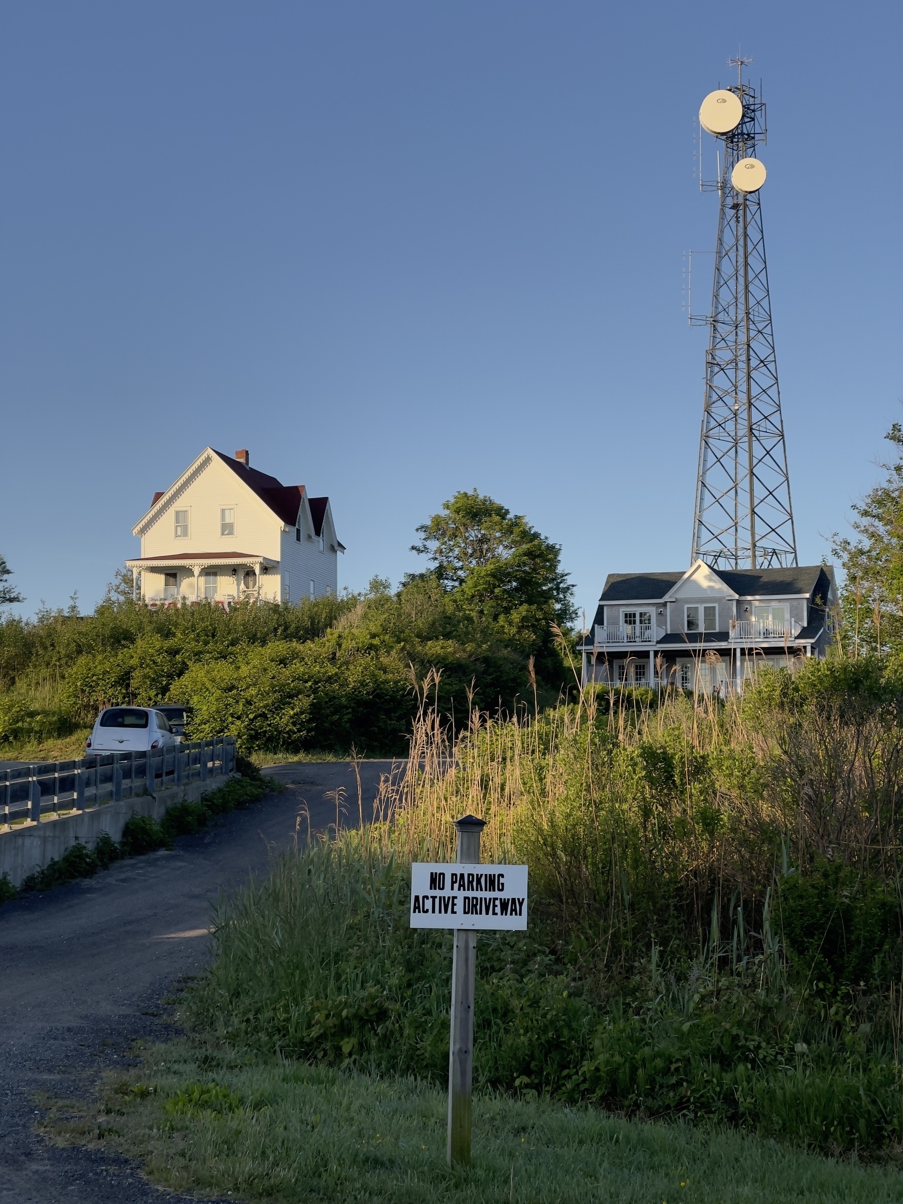 Landscape with houses and cellphone tower in background, no parking sign in foreground.