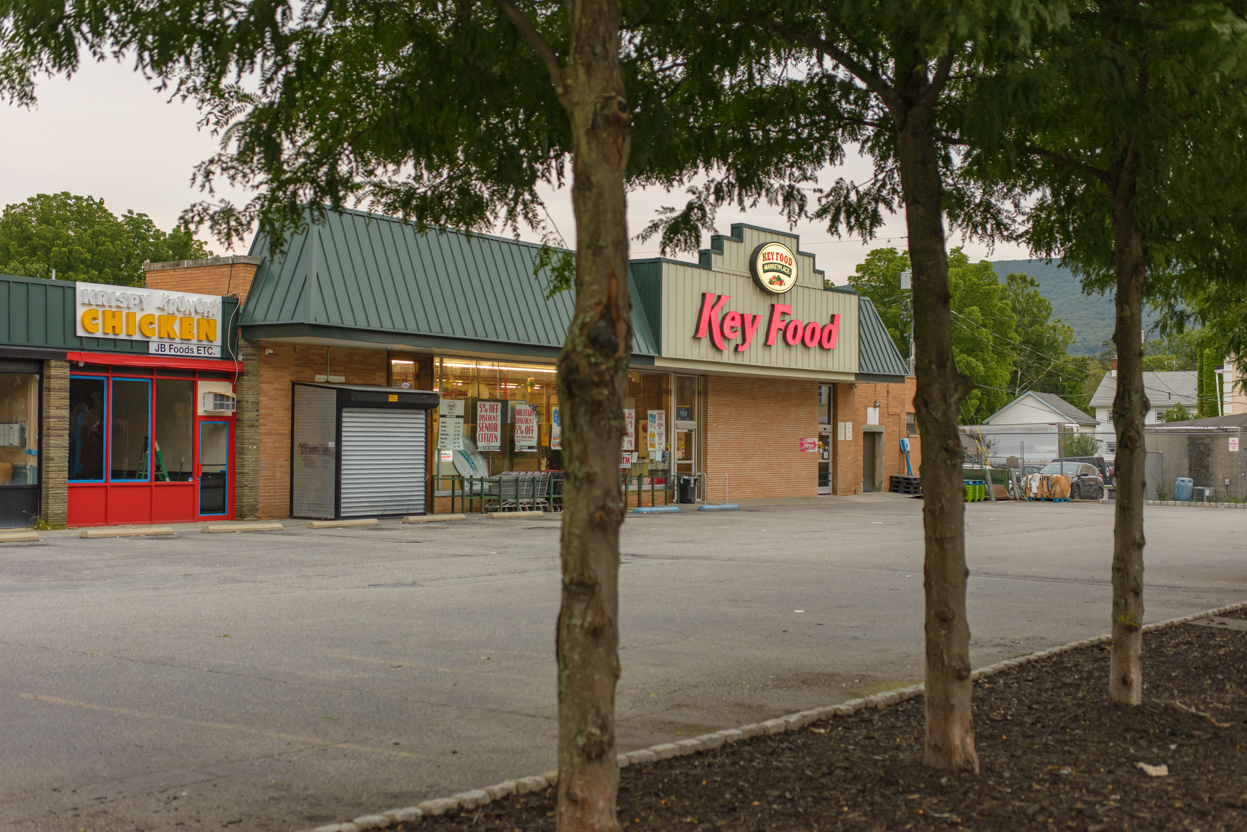 Key Food grocery store across parking lot , tree trunks in the foreground
