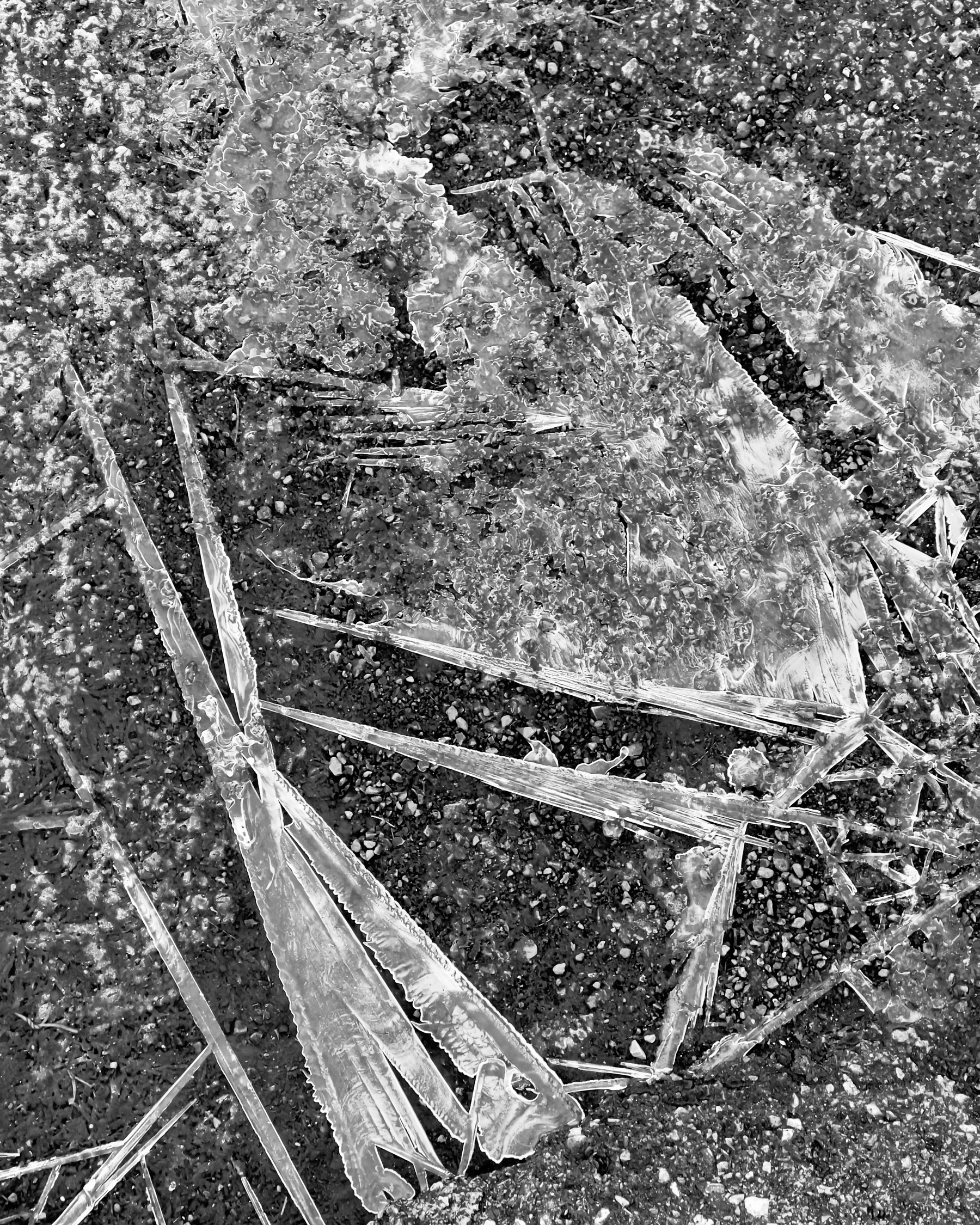 Ice crystals on asphalt.