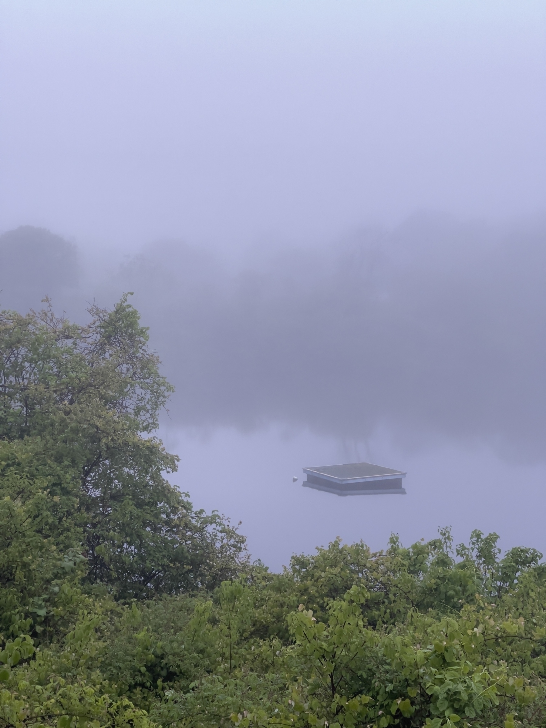 Floating platform in a pond with shrubs in the foreground and fog shrouded landscape in the background.