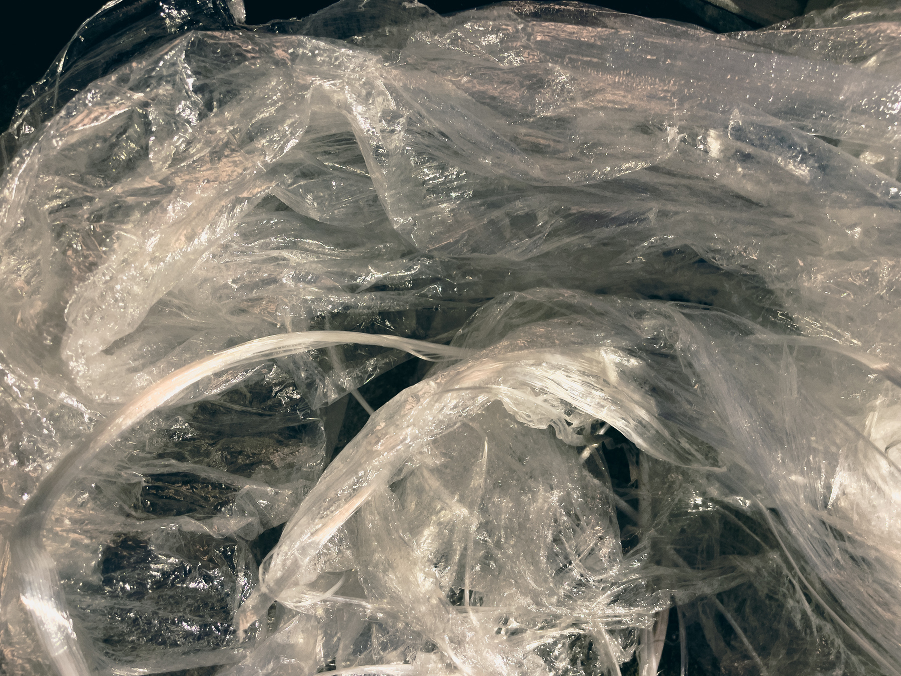 Closeup of plastic wrapping.