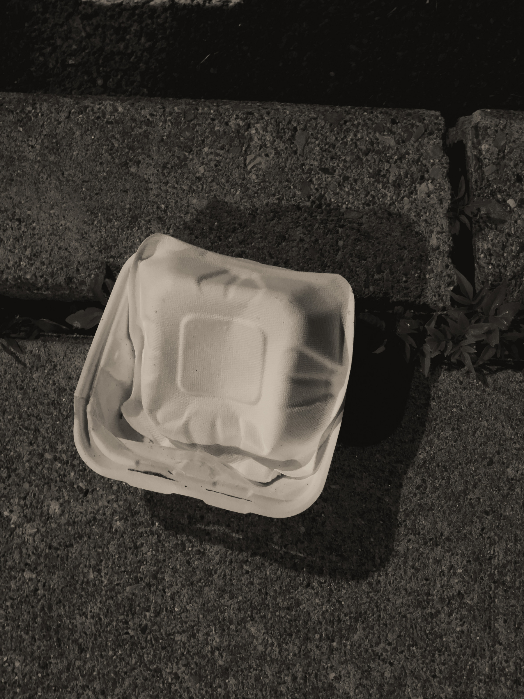 Square compostable food container on concrete pavement.