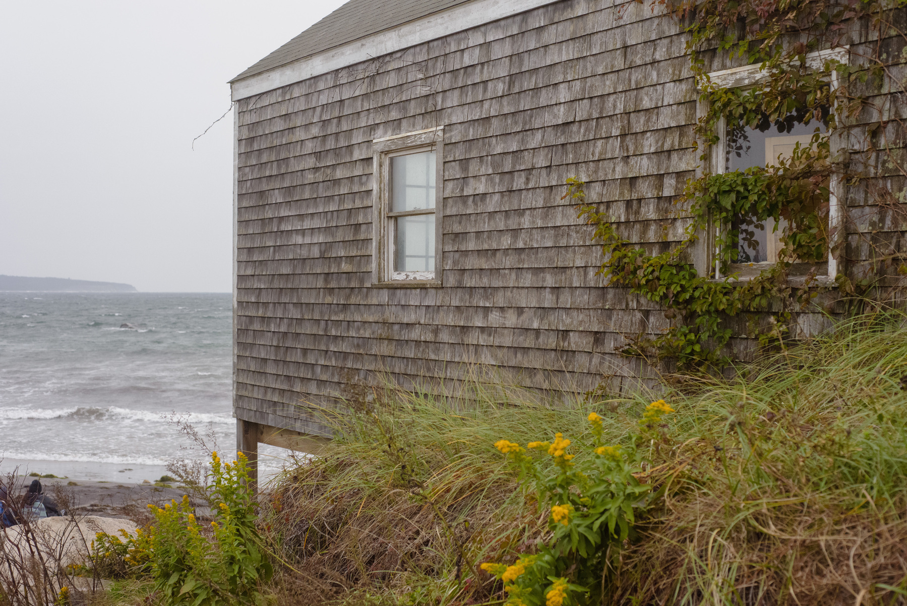 Side of cedar shake cottage with ocean beyond.