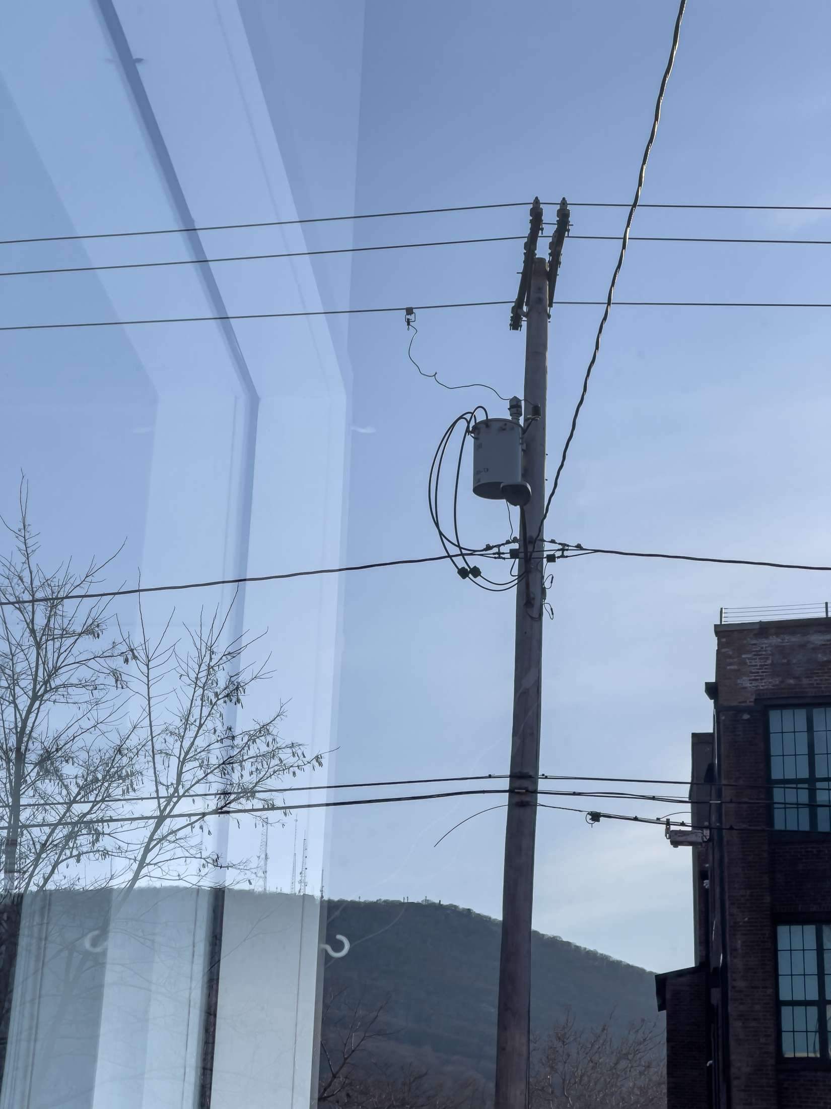 Landscape, utility pole and building reflected in a window.