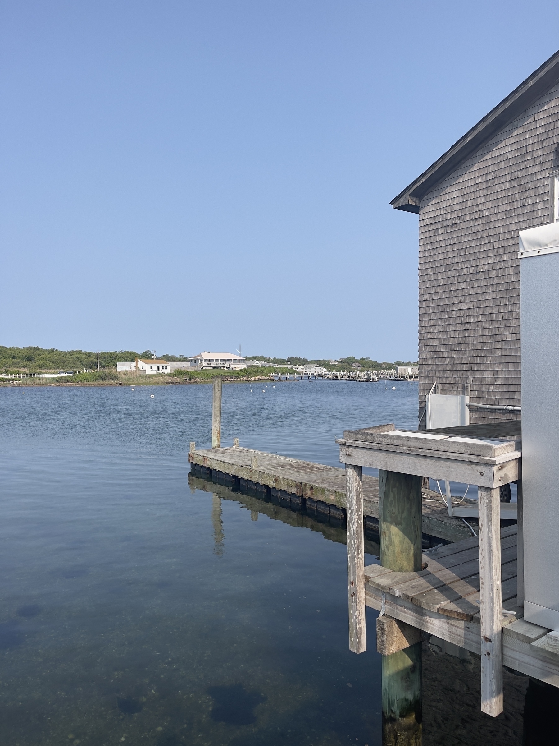 View of New Harbor past Payne’s Dock building on right. Day is sunny and calm.