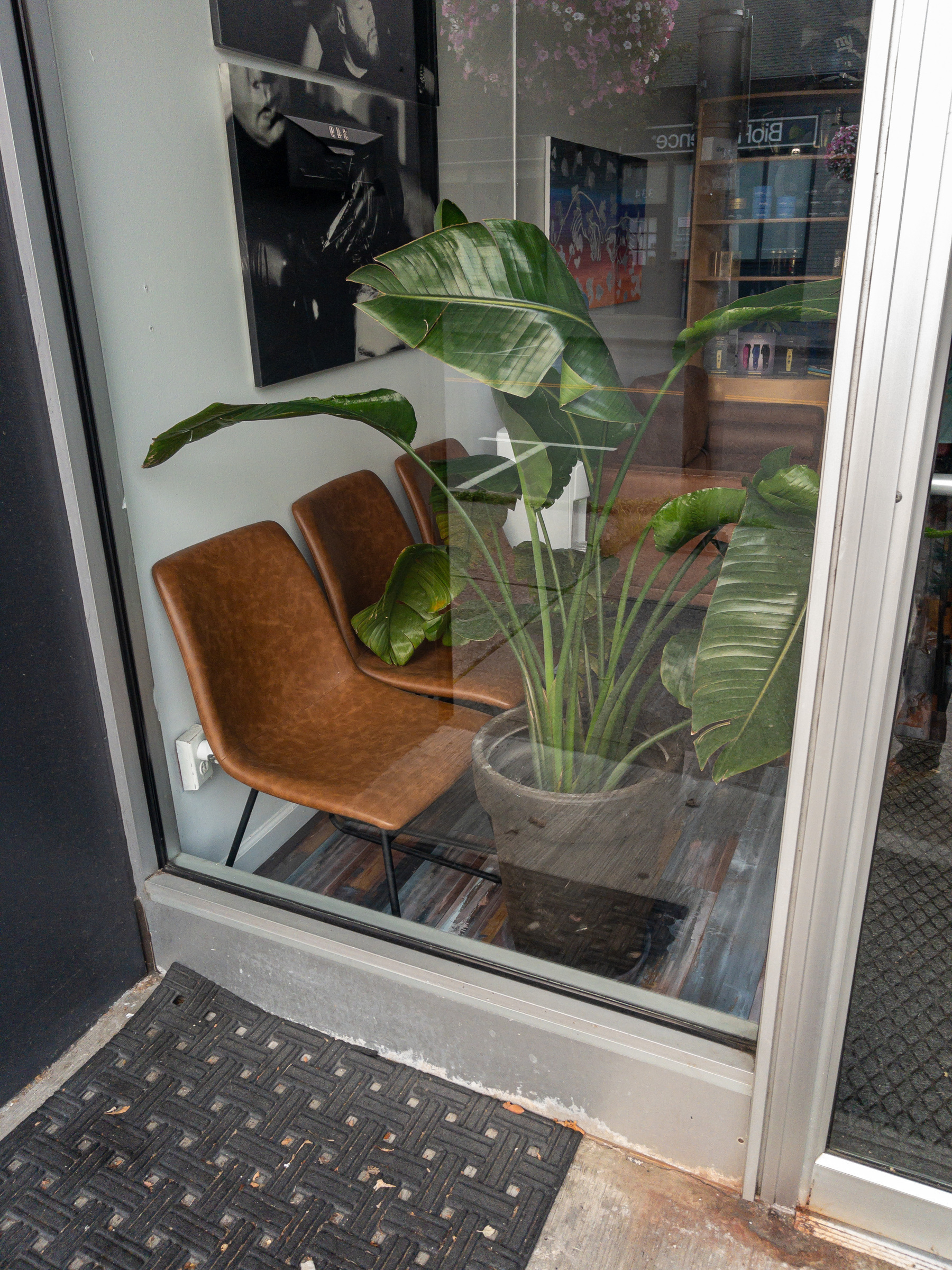 Plant and seating through a shop window.