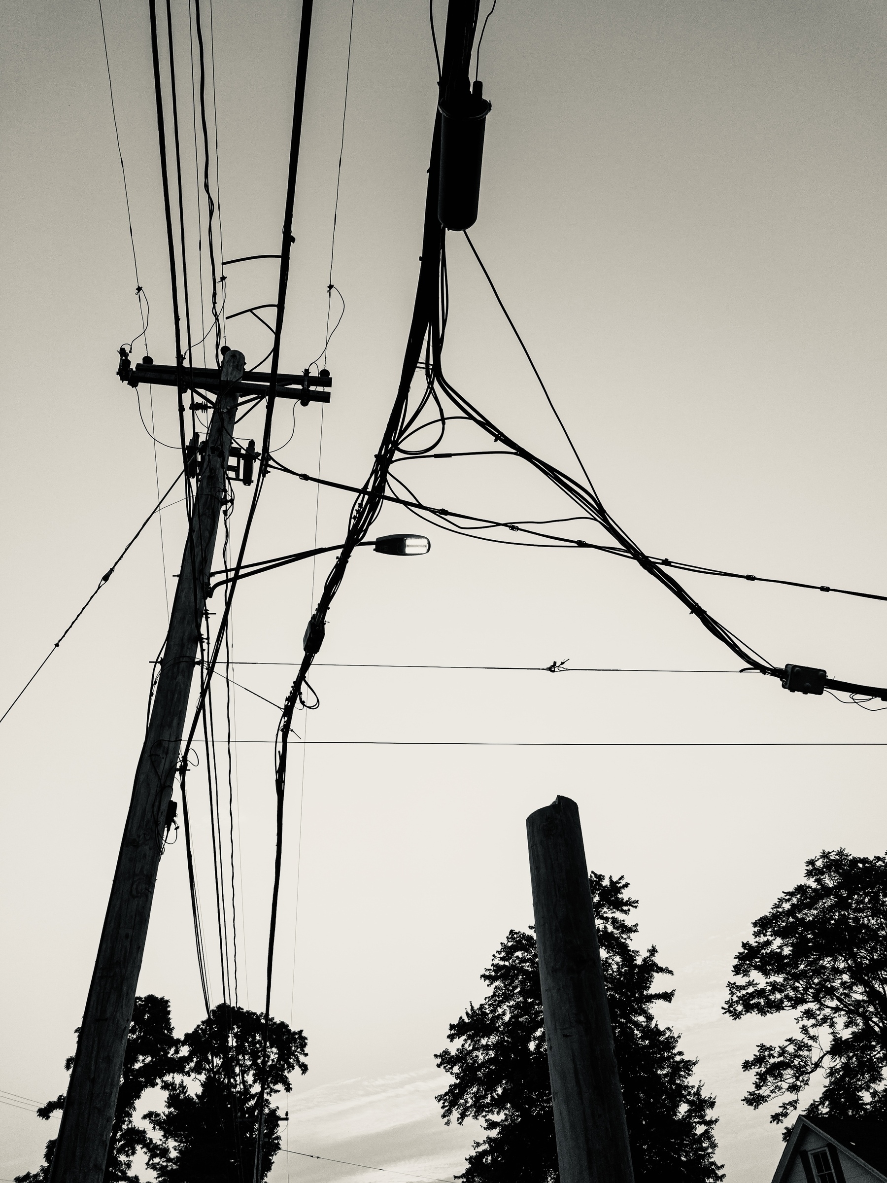 Wires and utility pole against early morning sky. Silvertone photo effect.