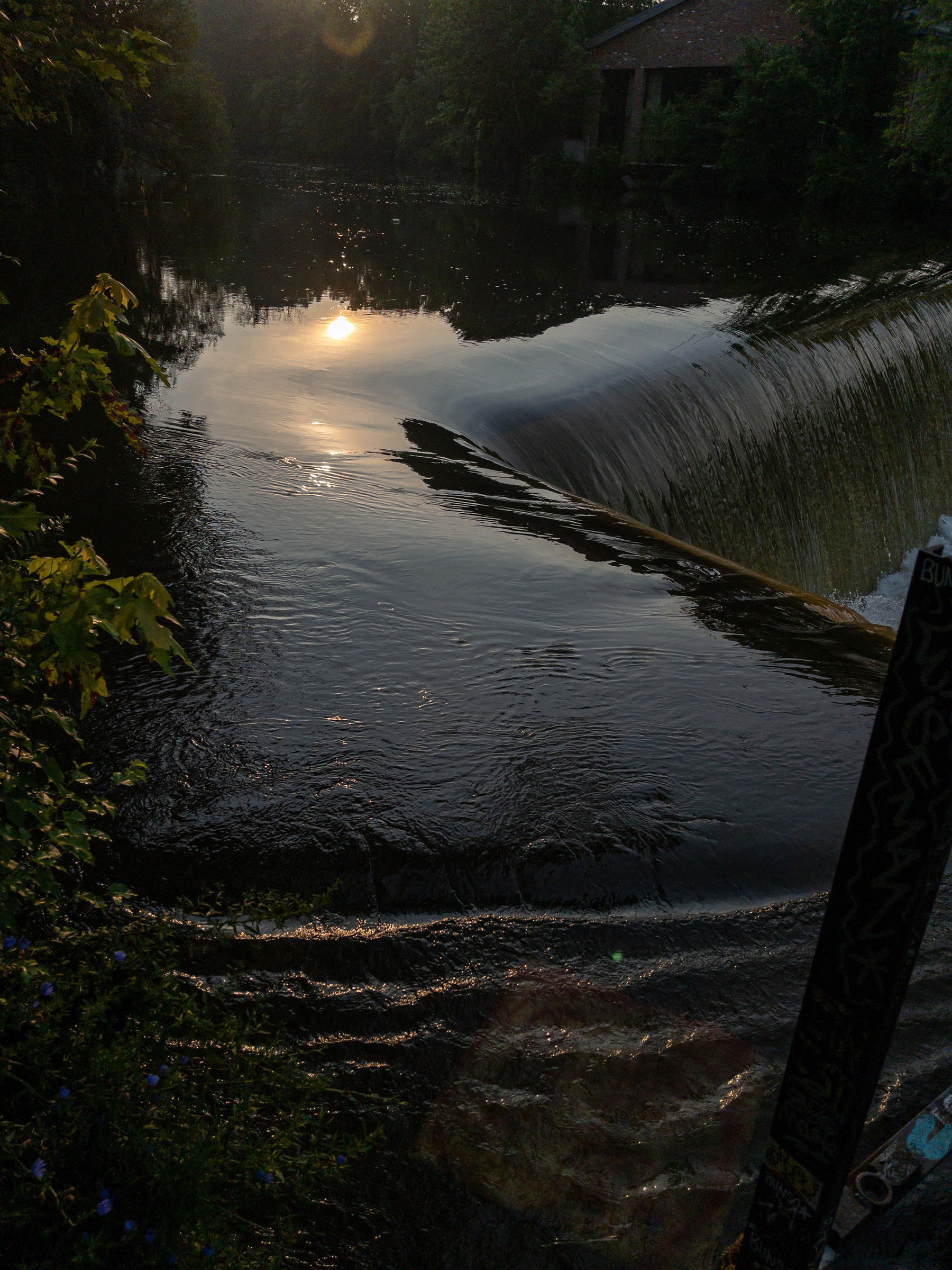 The morning sun reflected off the smooth surface of water in a stream, the drop off of a damn on the upper right side, ripples in the water on the bottom foreground, dark foliage and trees running up the left side and across the top.