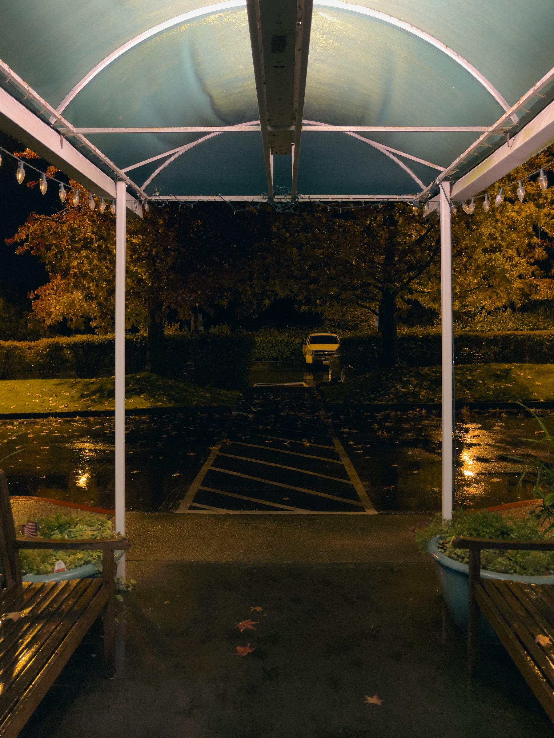 Arched canopy covering walkway, parking lot landscape beyond, nightscape.